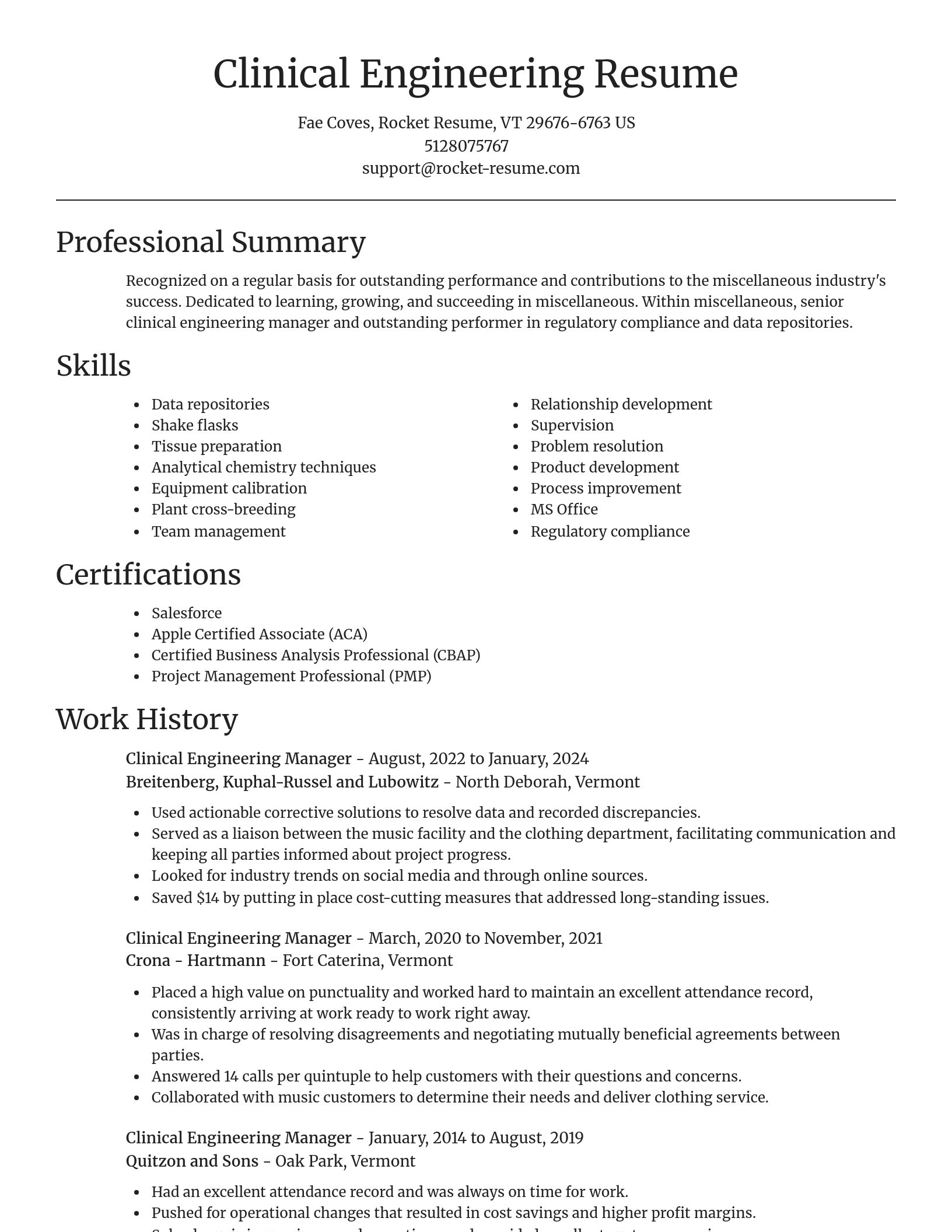 Focal Point resume template