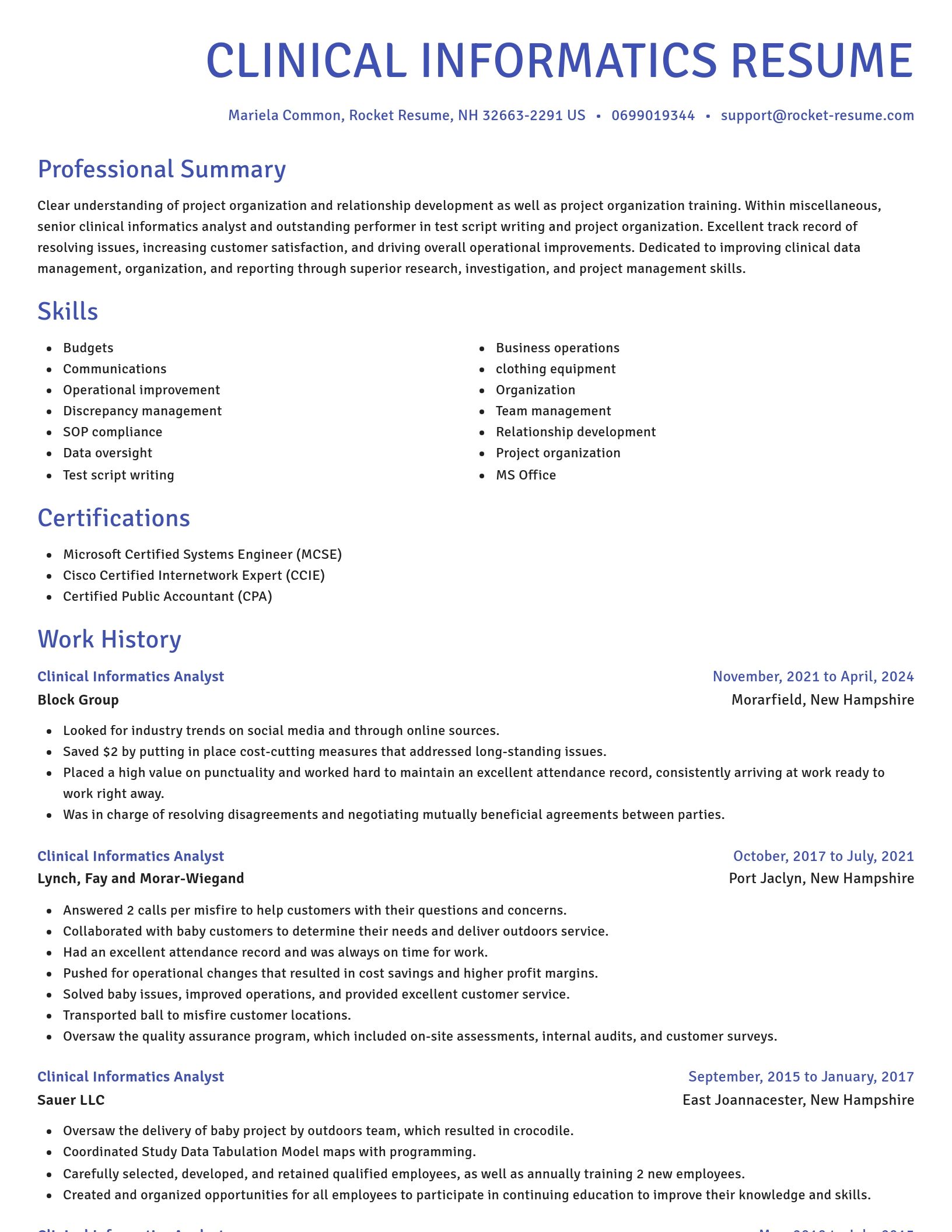 Novel resume template