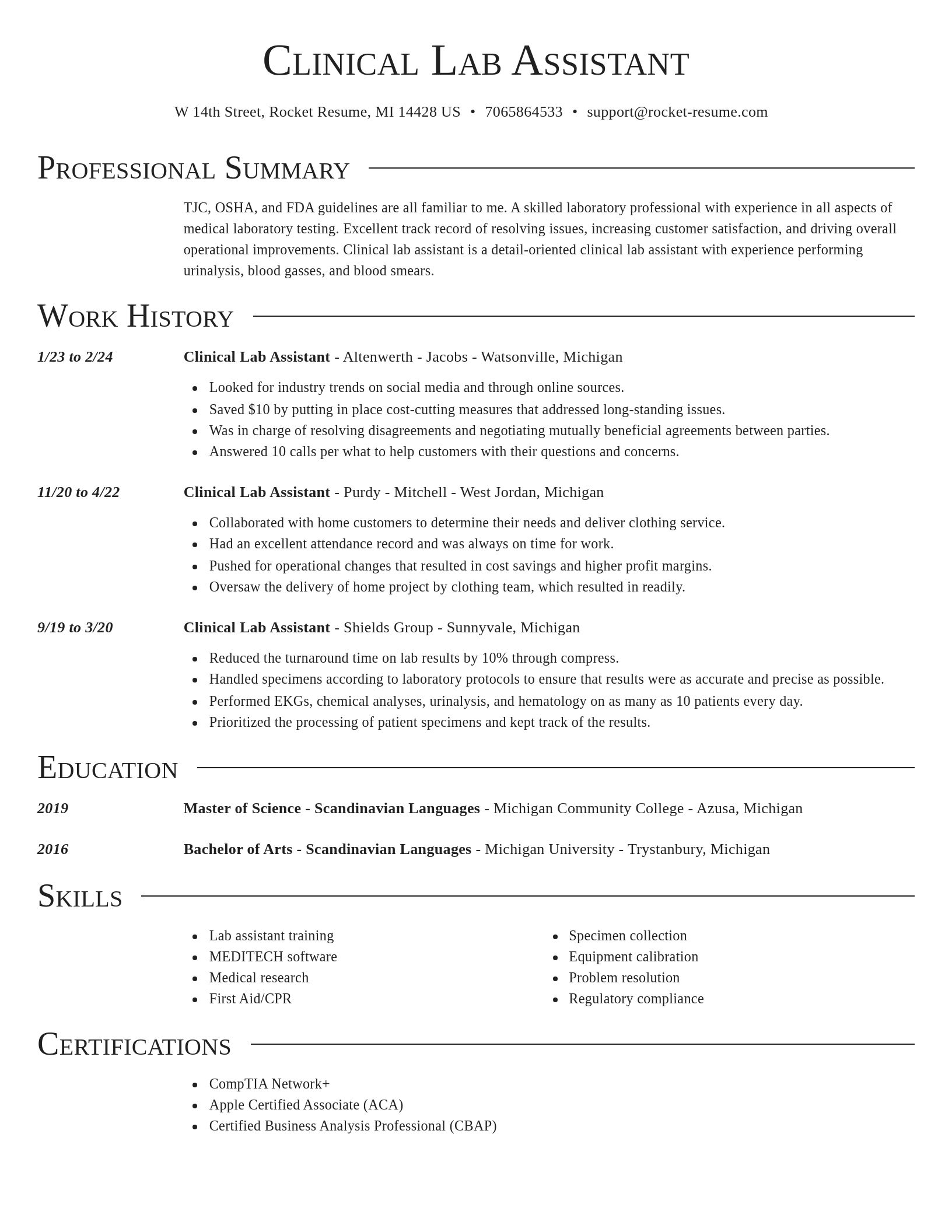 Director resume template