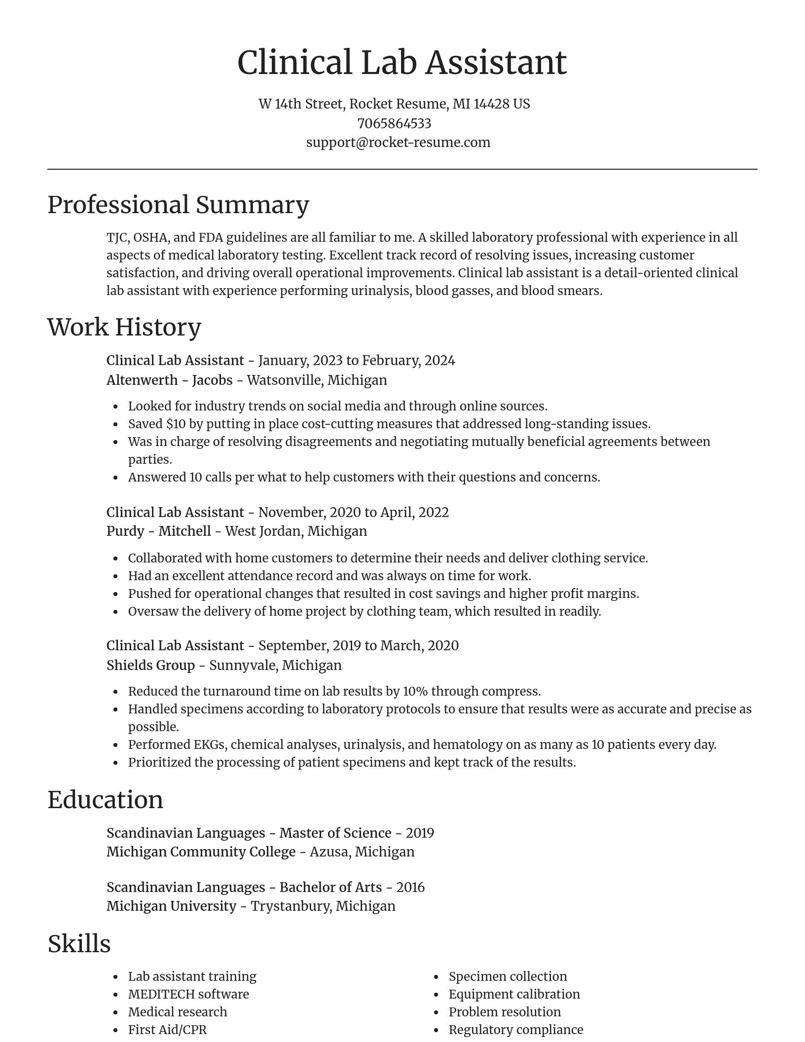 Focal Point resume template