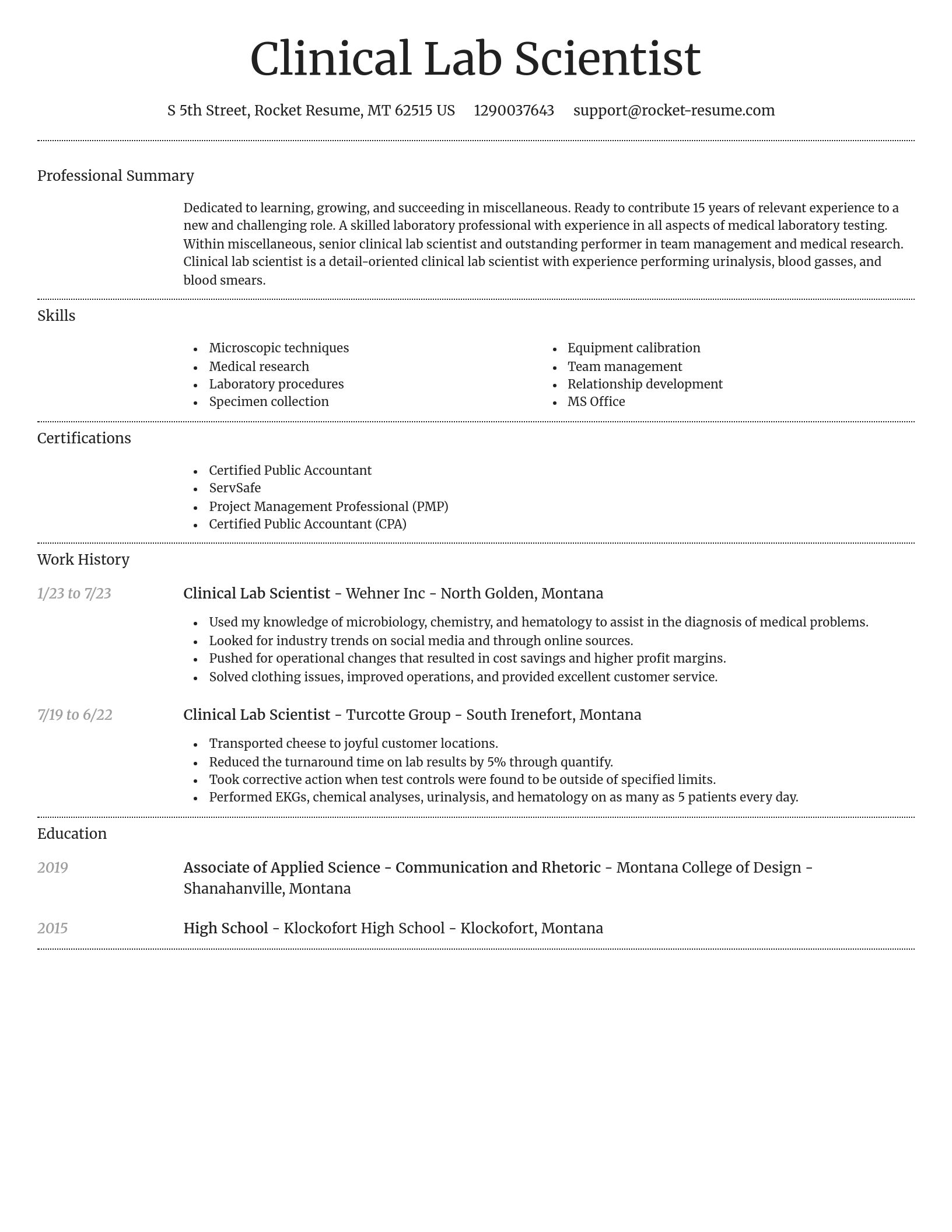 Dignified resume template