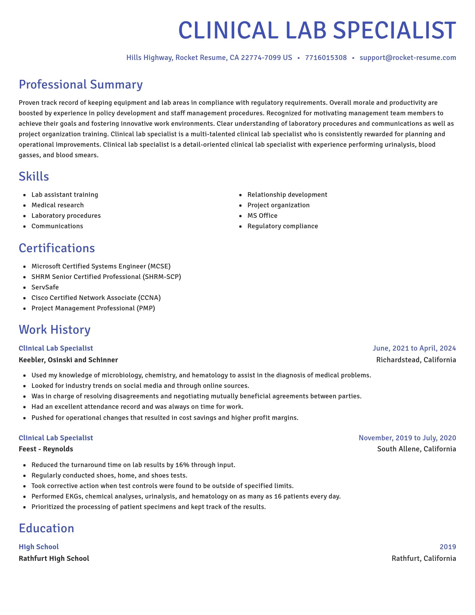 Novel resume template