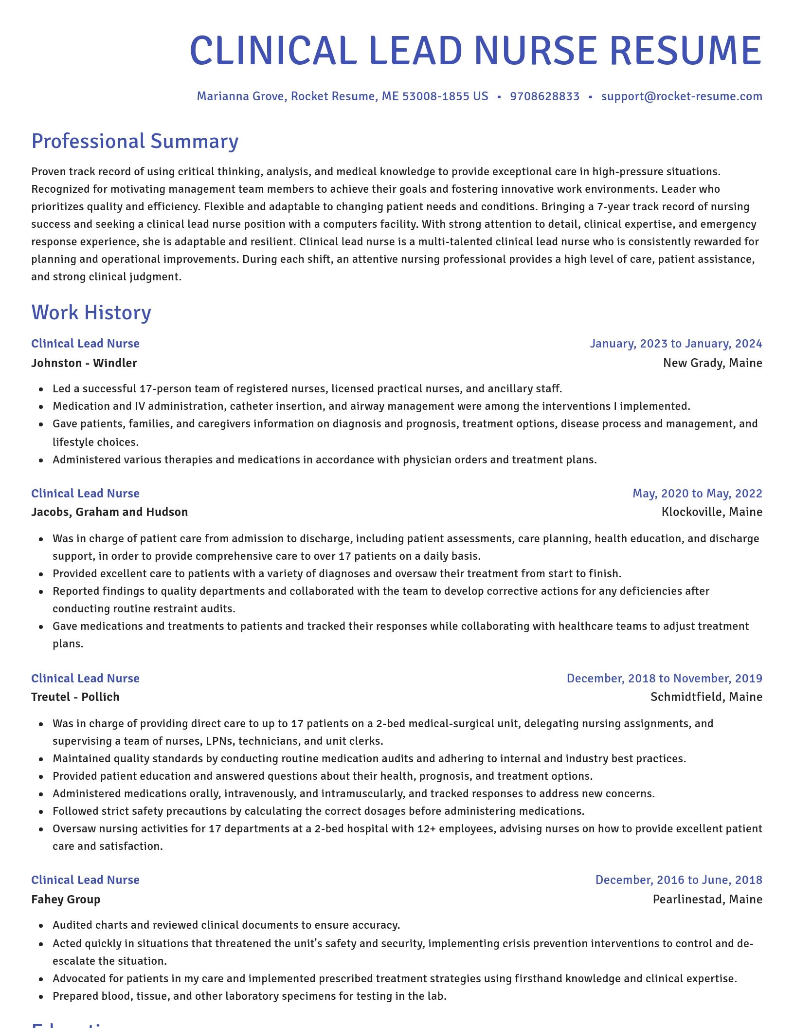 Novel resume template