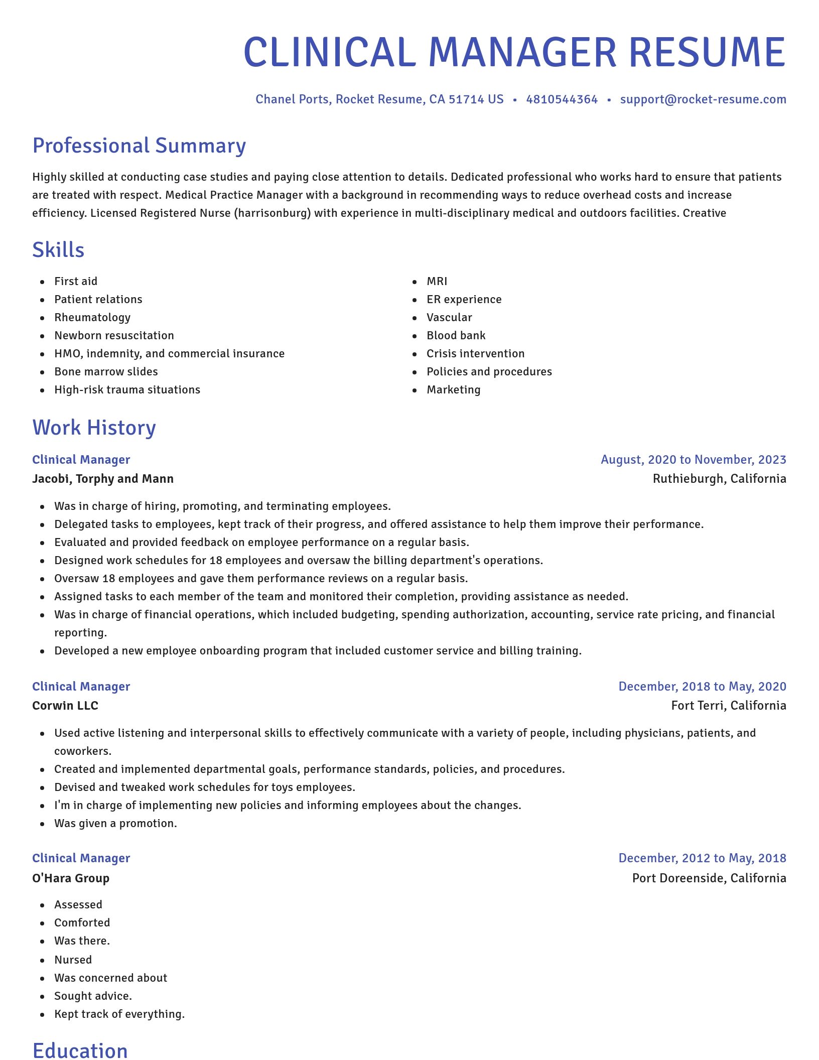 Novel resume template