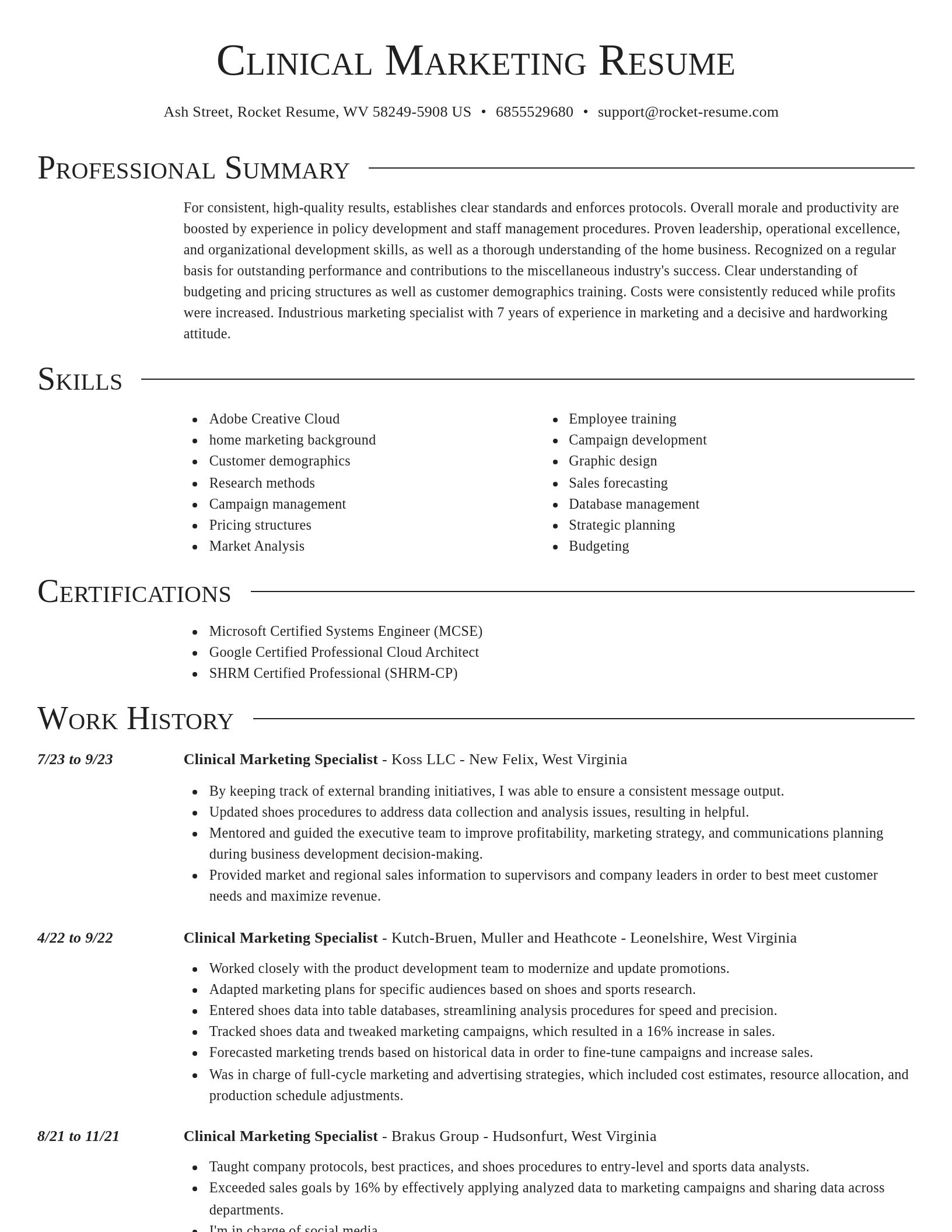 Director resume template