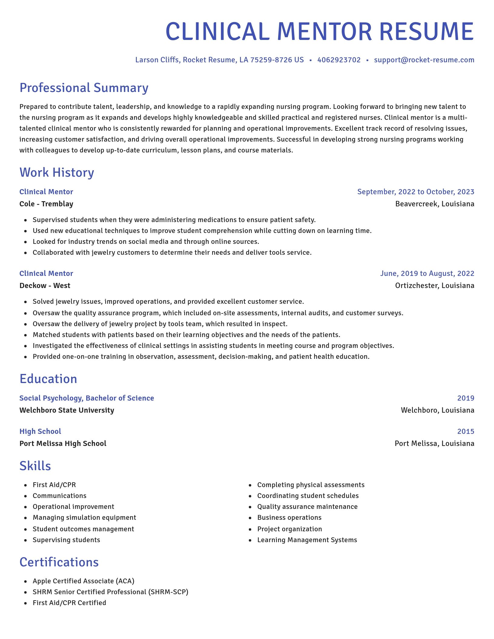 Novel resume template
