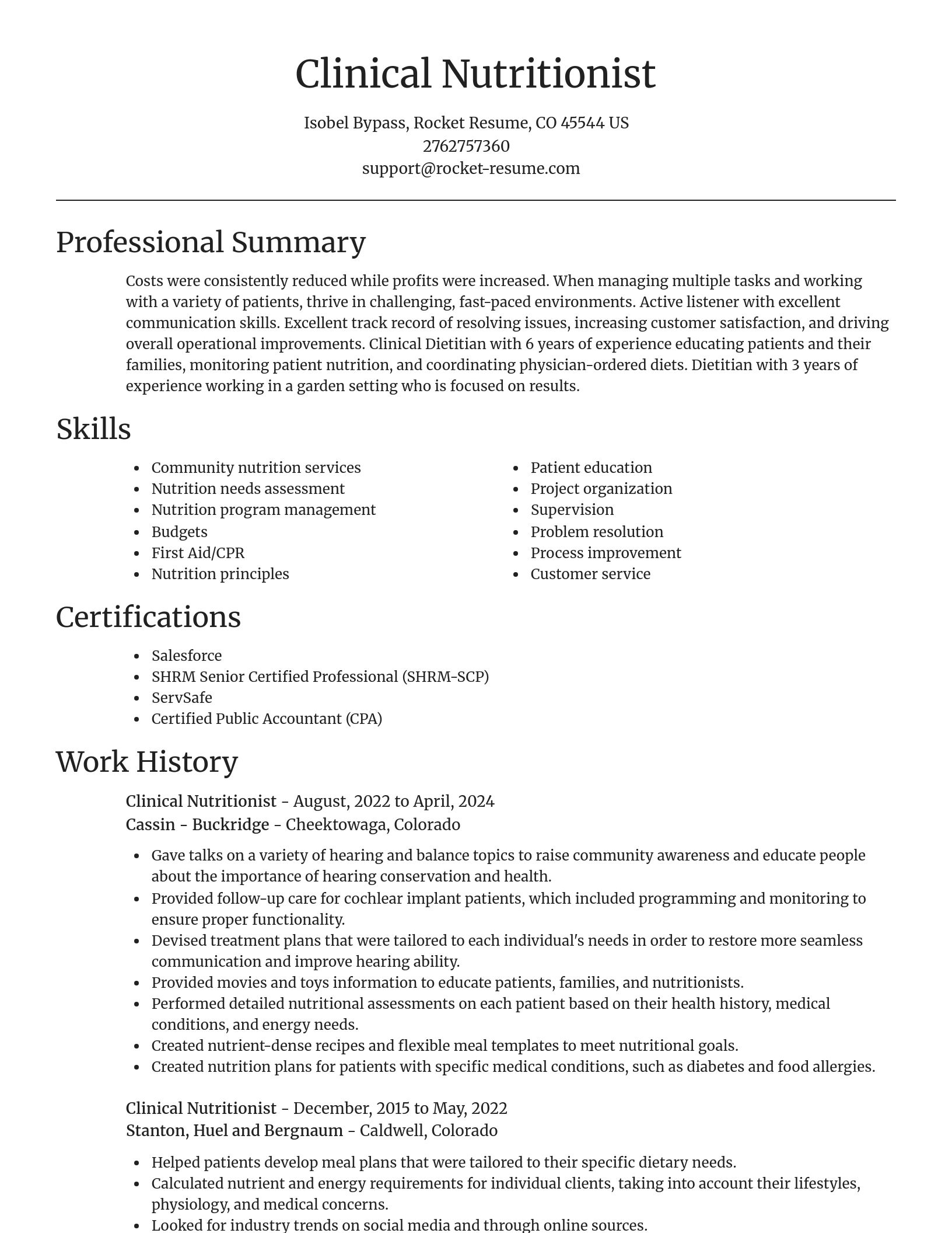 Focal Point resume template