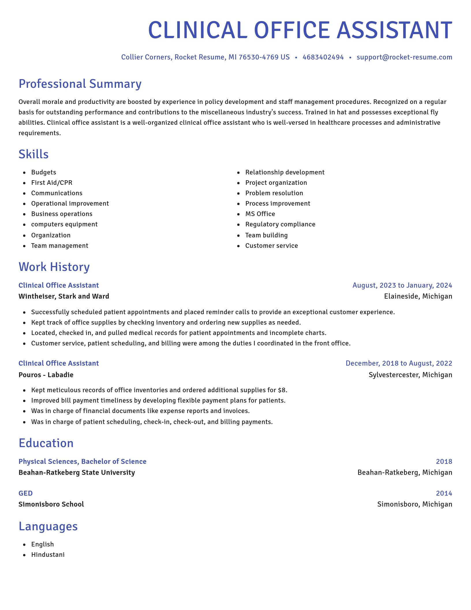 Novel resume template