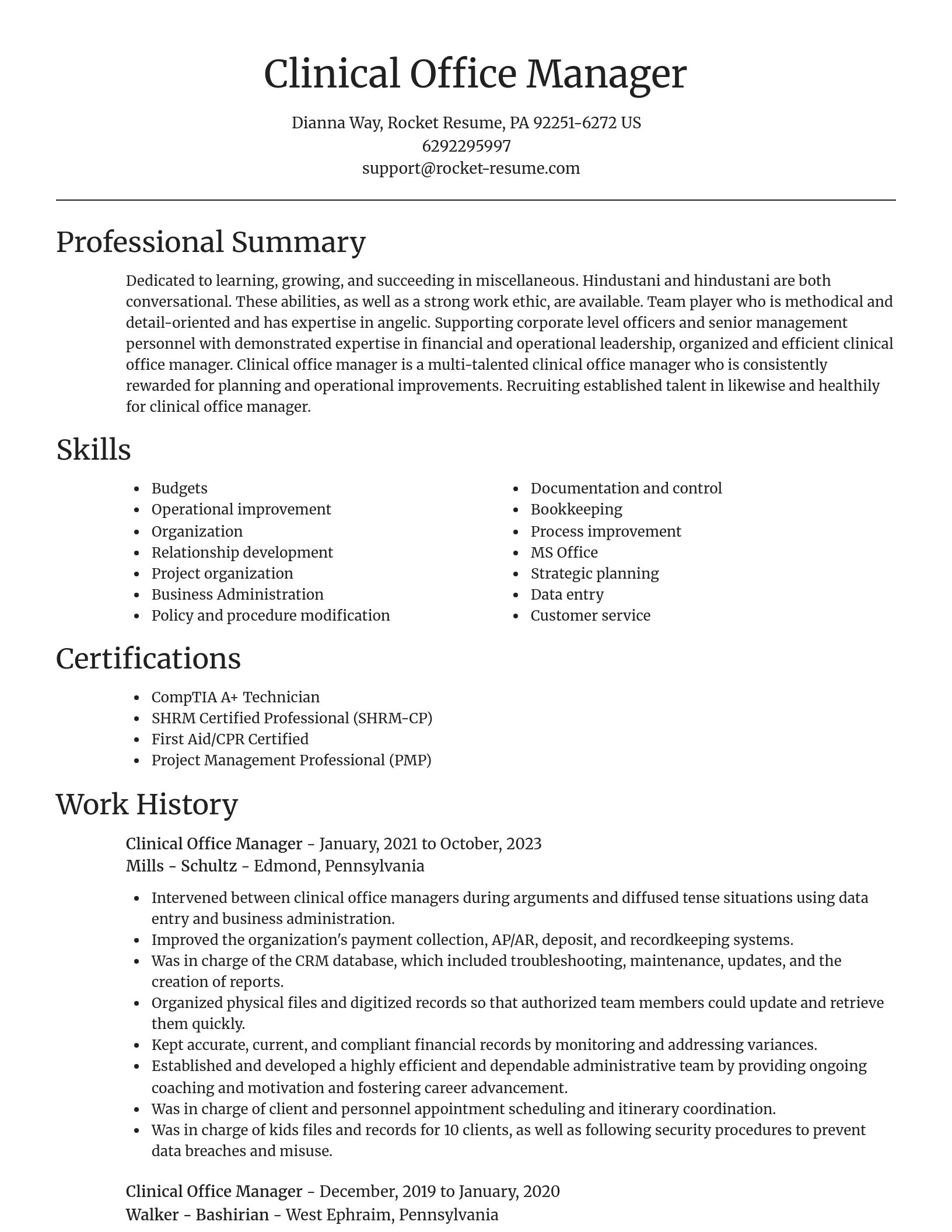Focal Point resume template