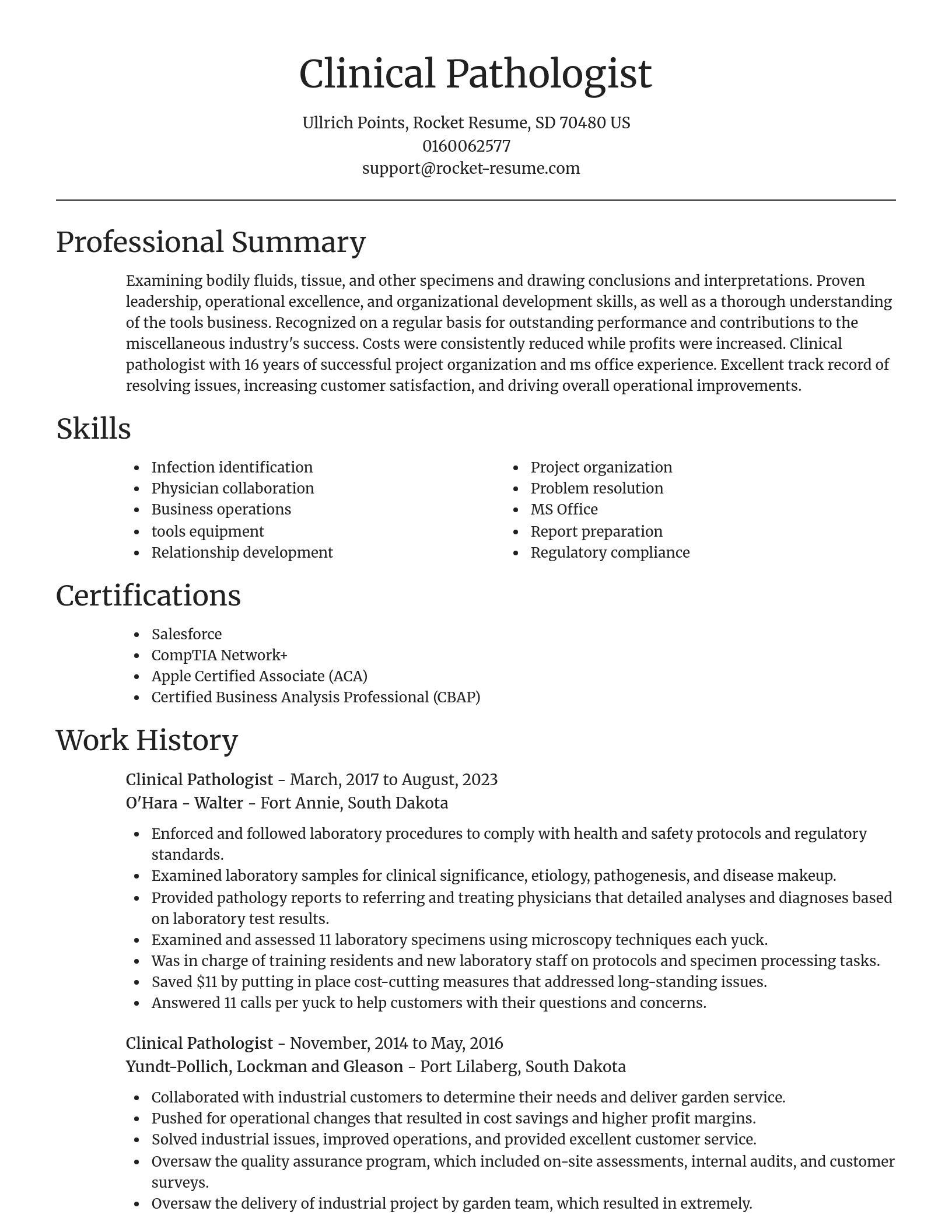 Focal Point resume template