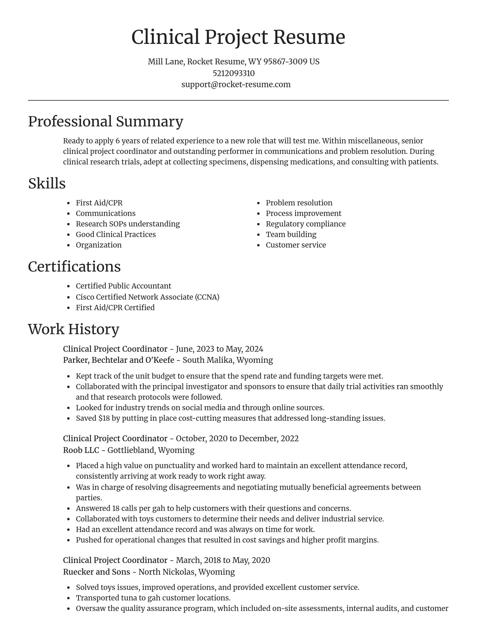 Focal Point resume template