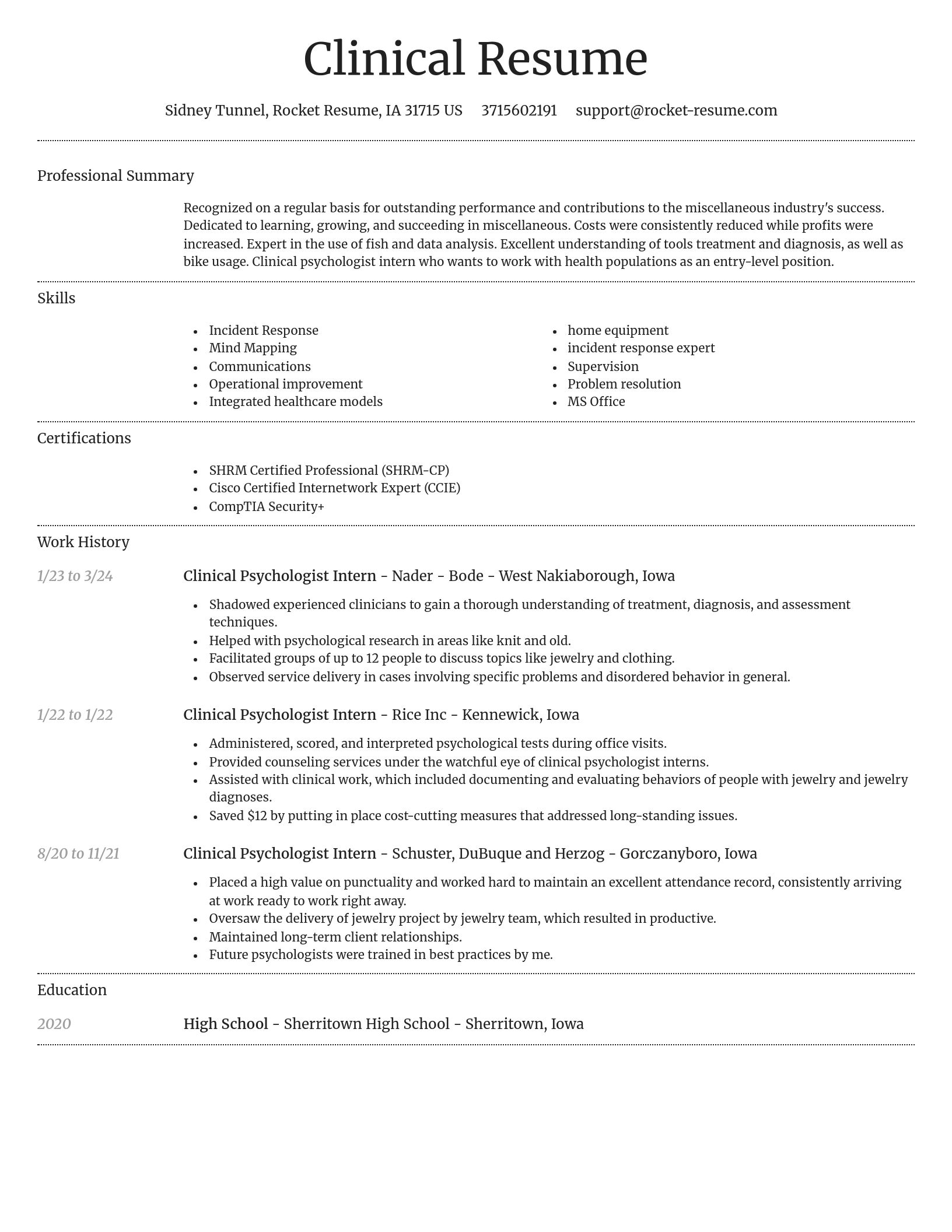 Dignified resume template