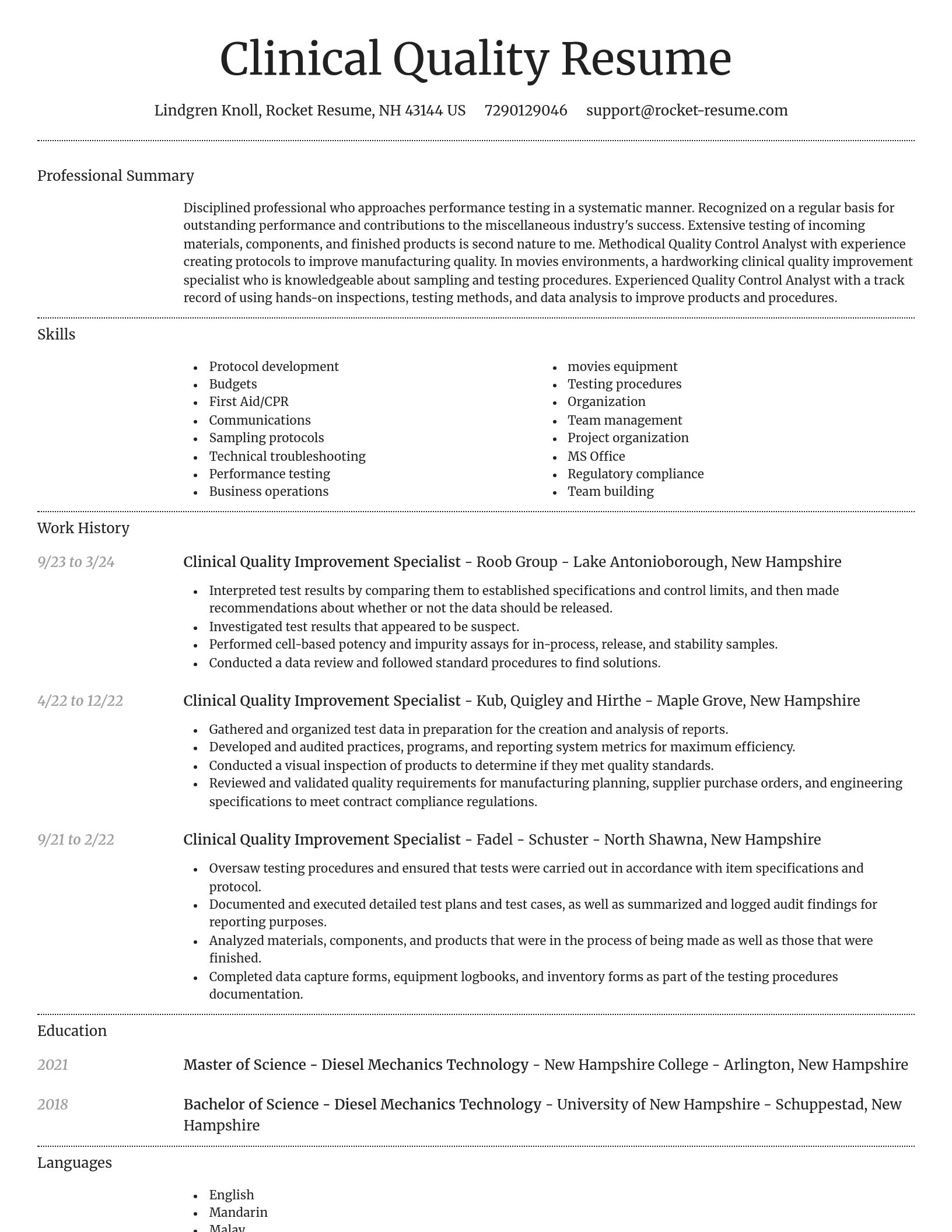 Dignified resume template