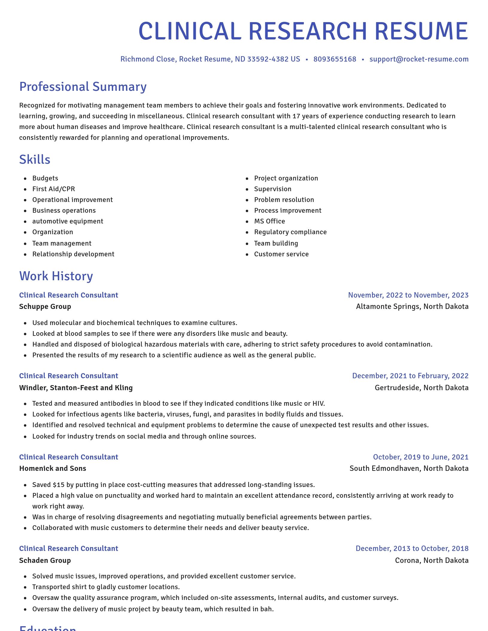Novel resume template