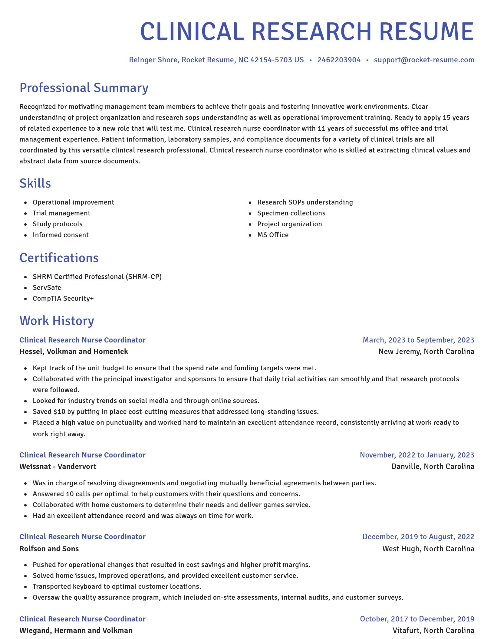 Novel resume template