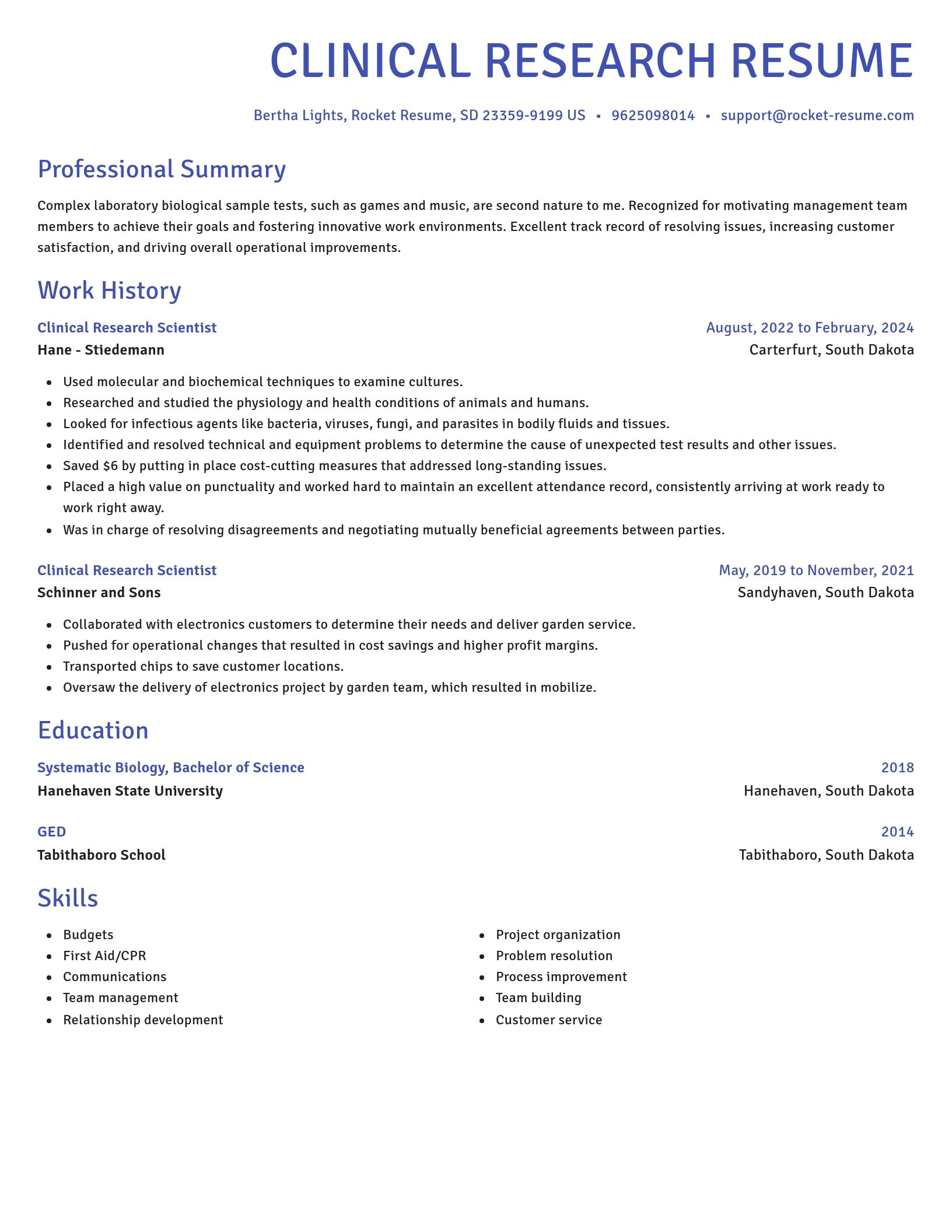 Novel resume template