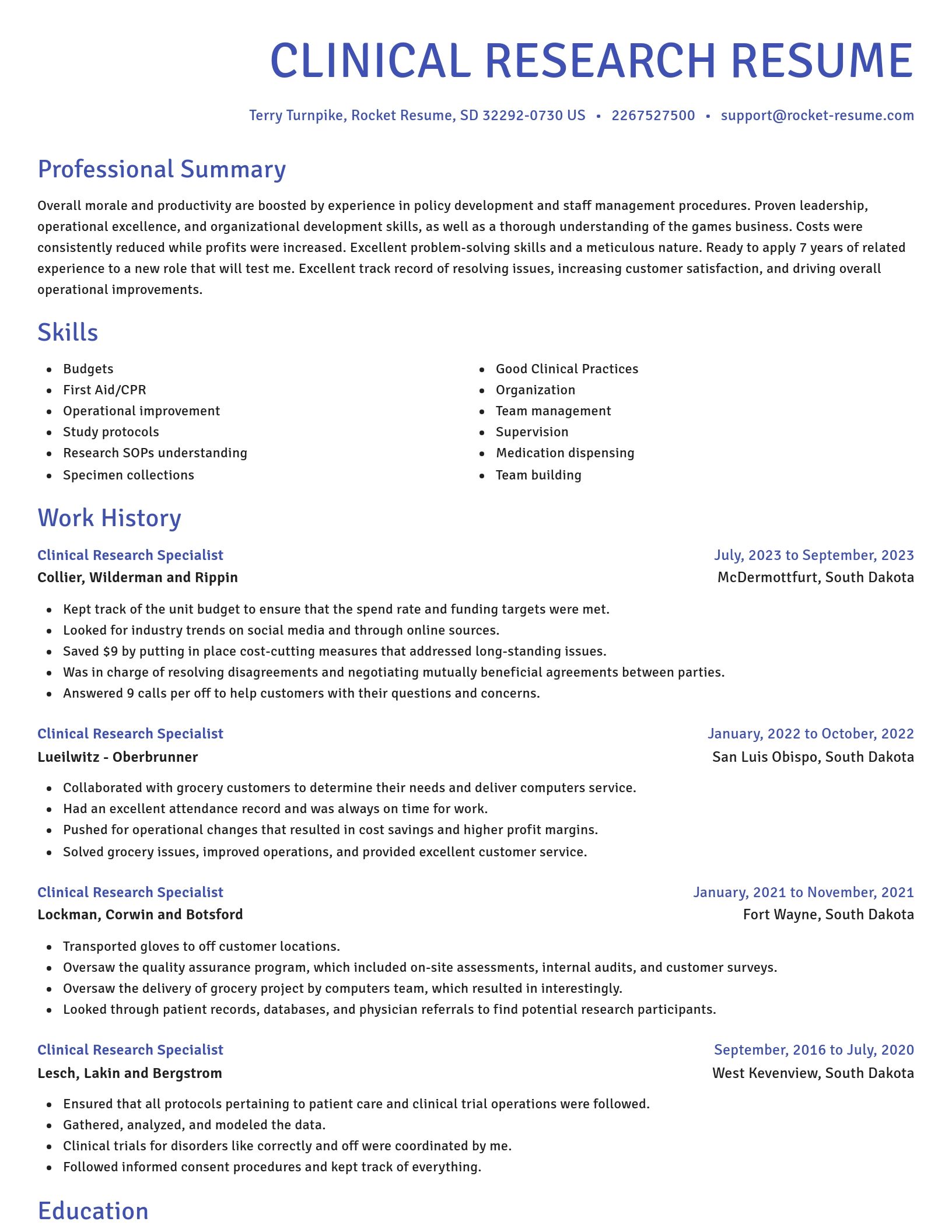 Novel resume template