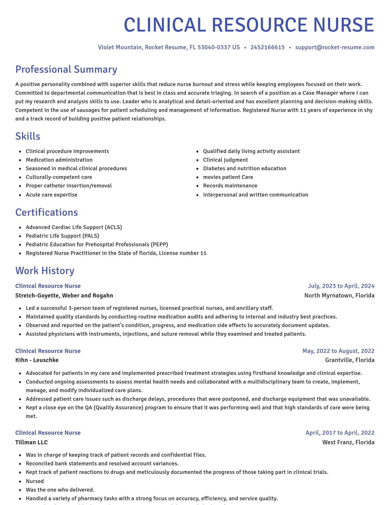 Novel resume template
