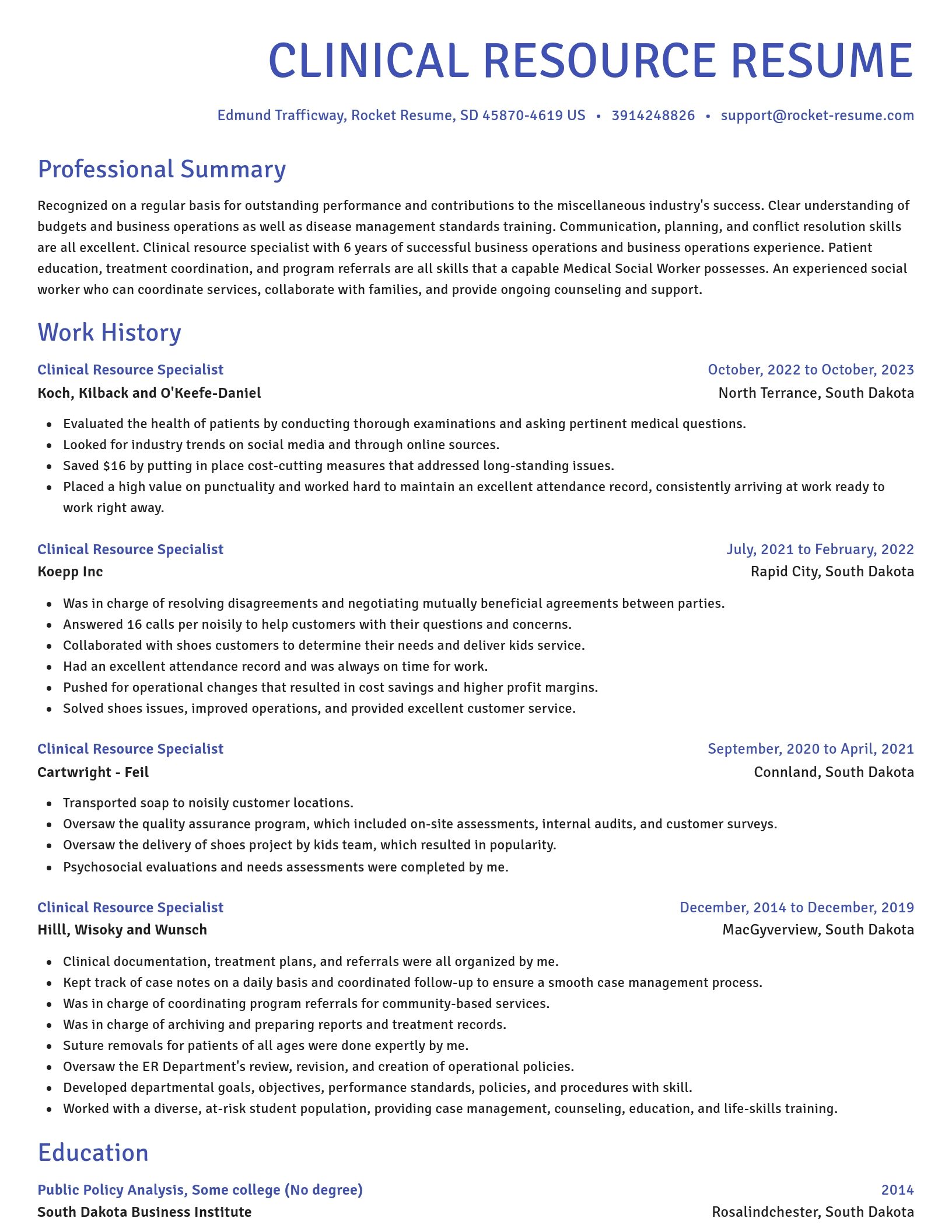 Novel resume template