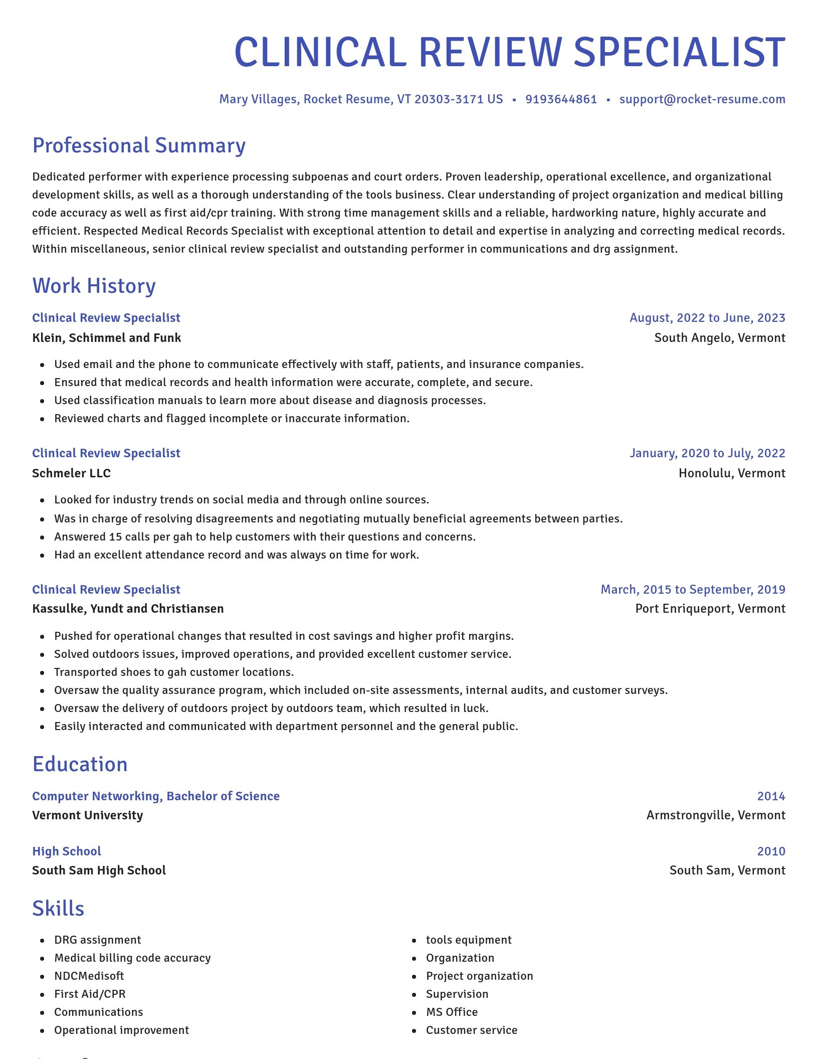 Novel resume template