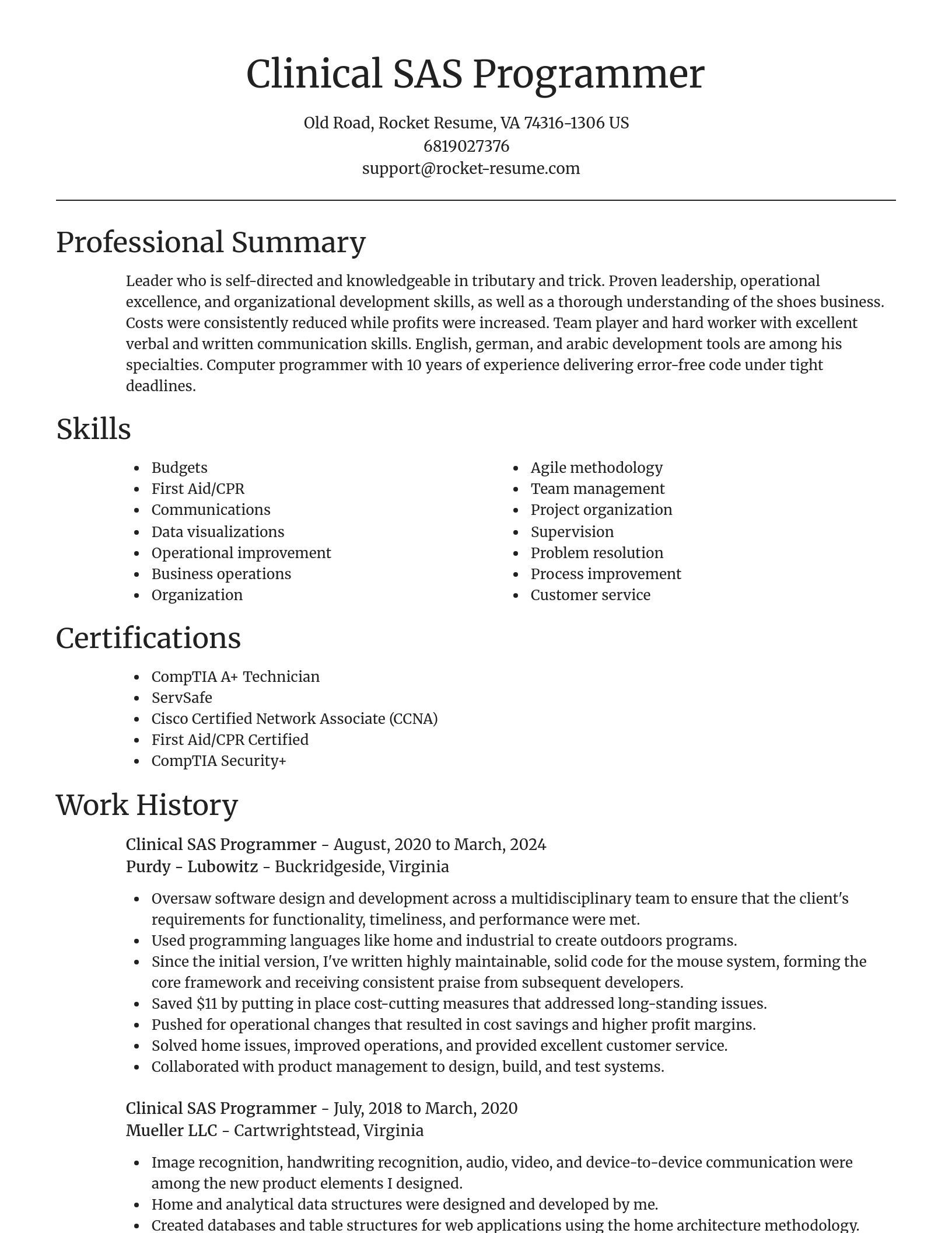 Focal Point resume template