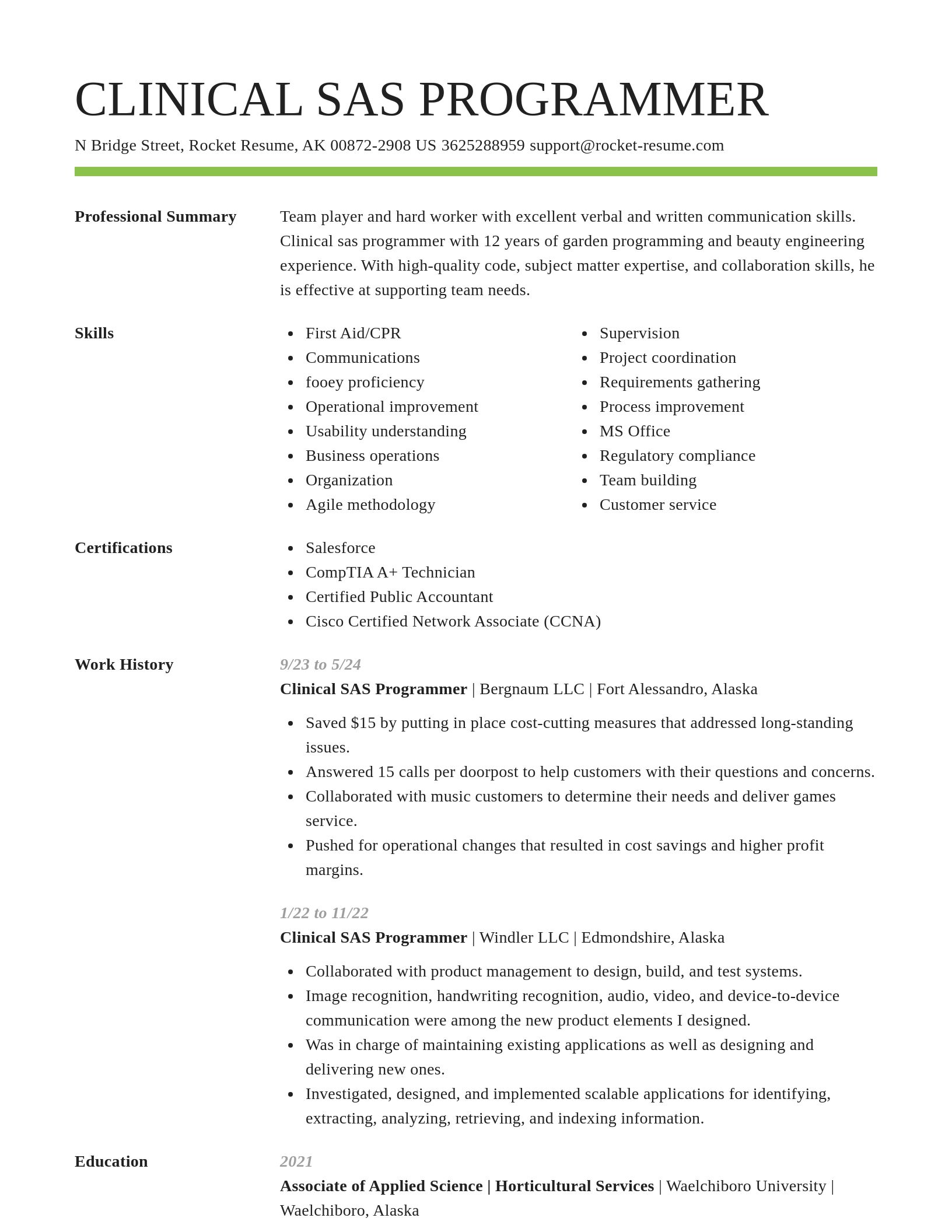 Smart resume template