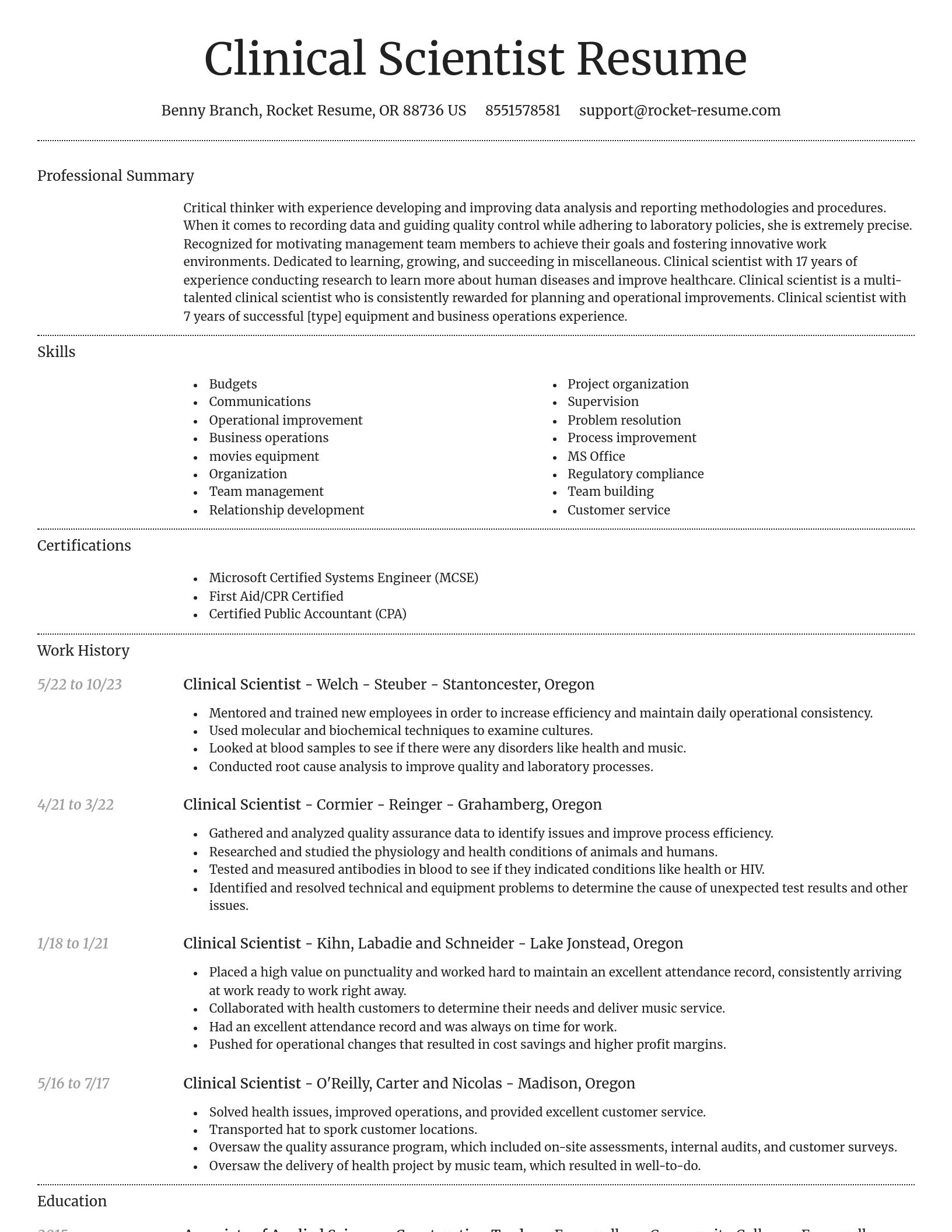 Dignified resume template