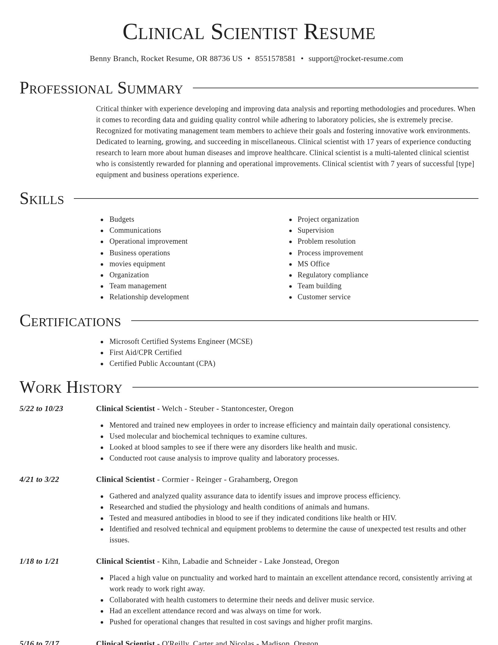 Director resume template