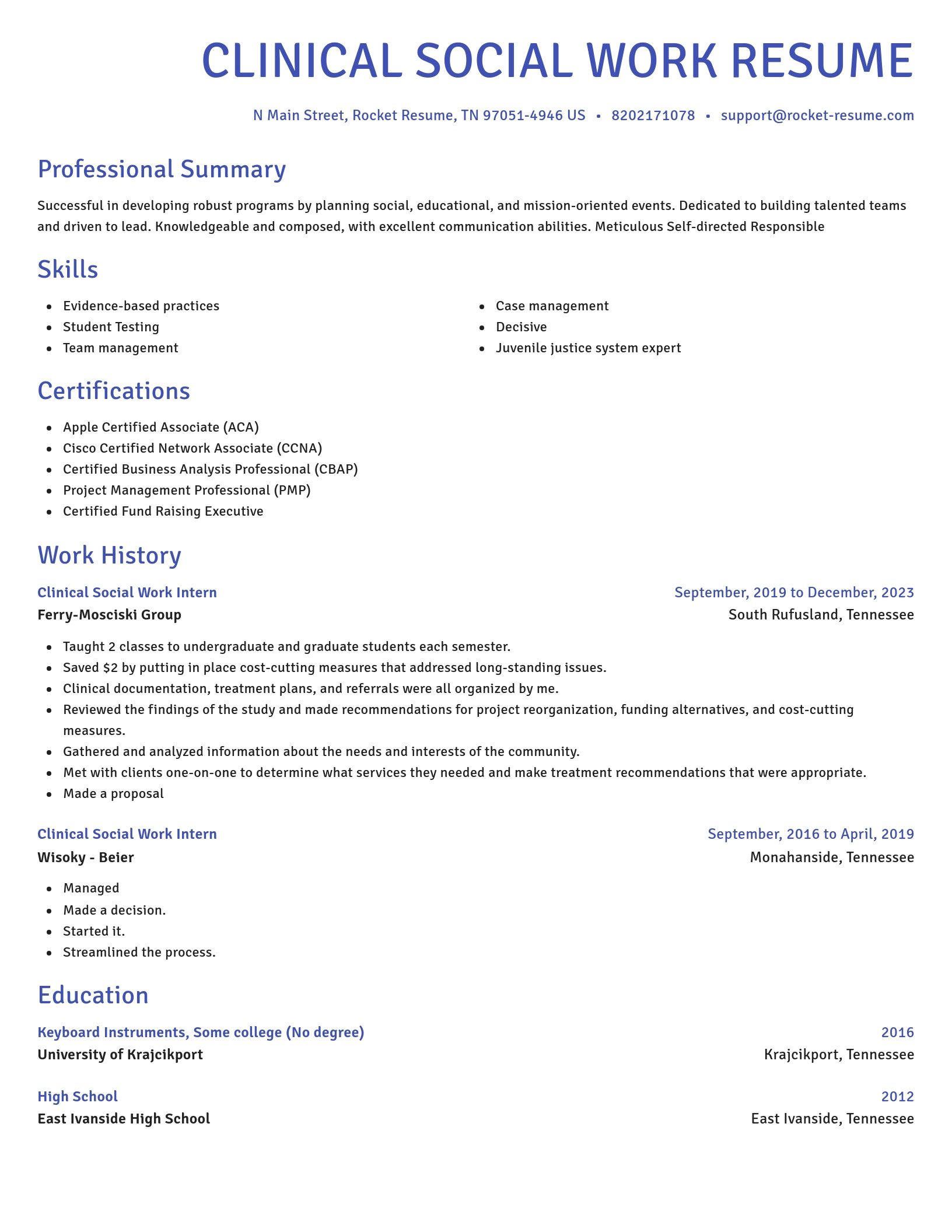 Novel resume template