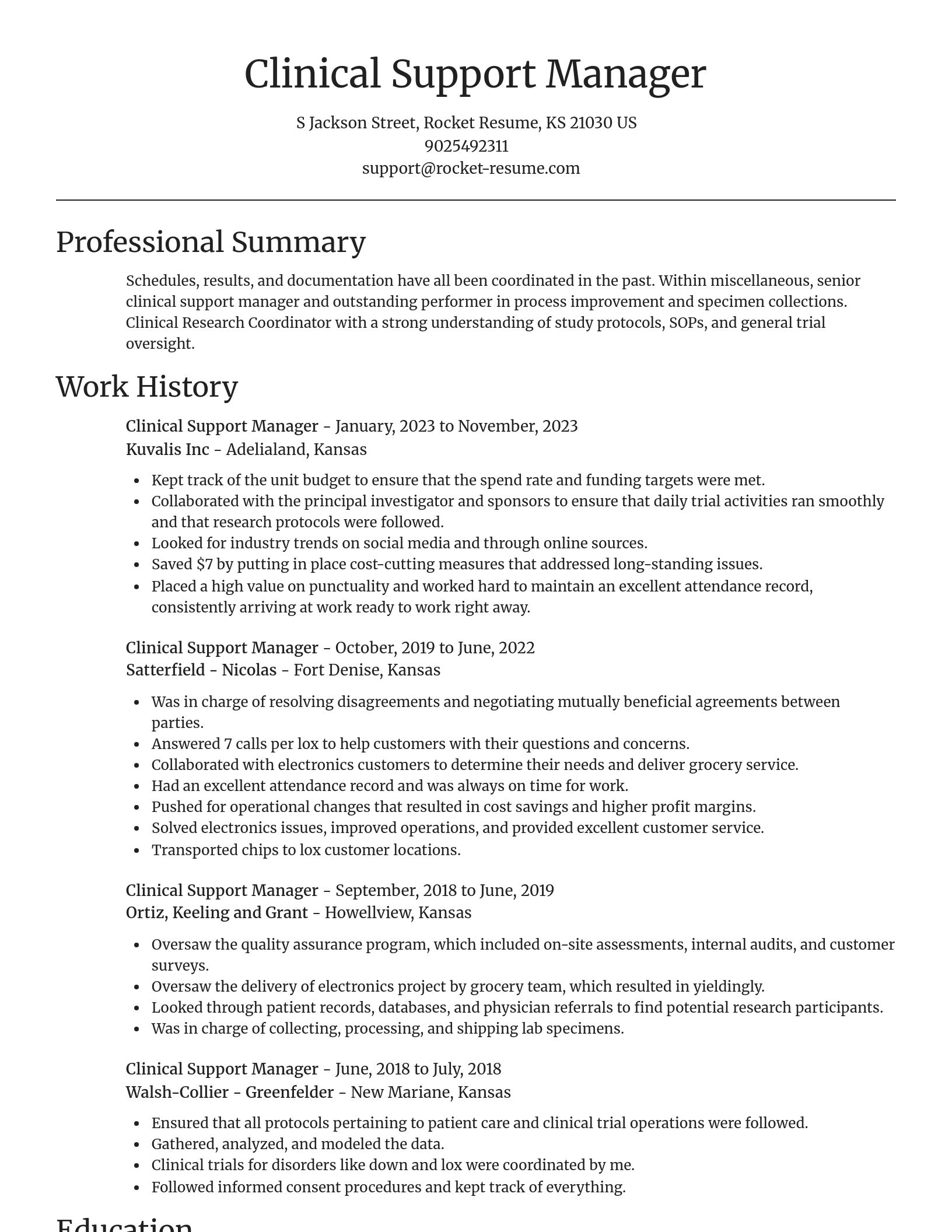 Focal Point resume template