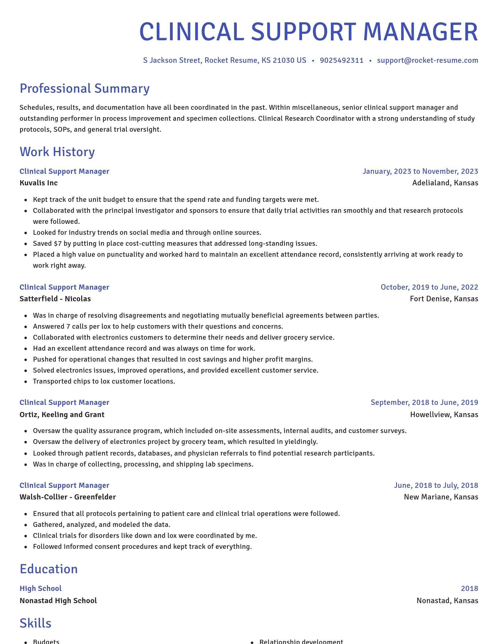 Novel resume template