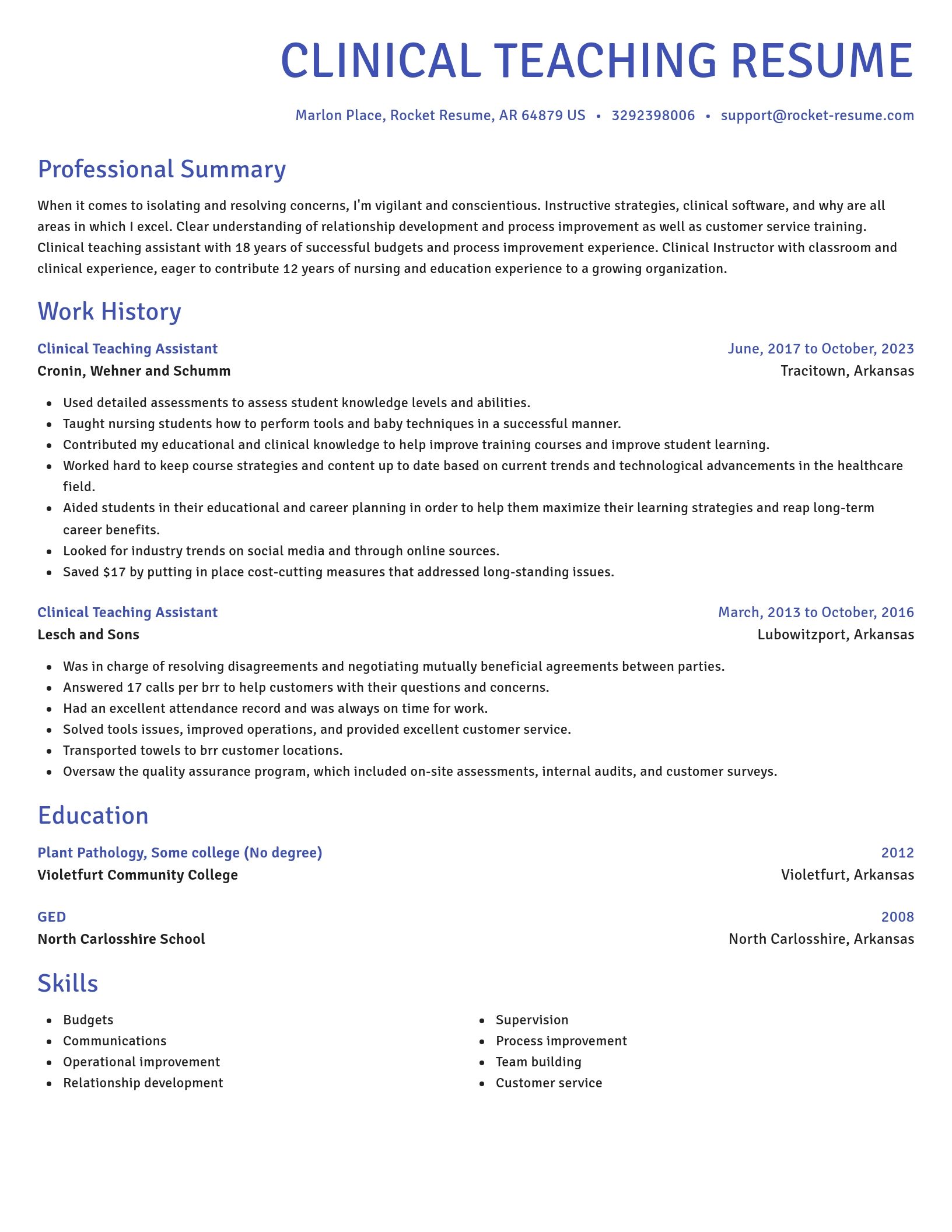 Novel resume template