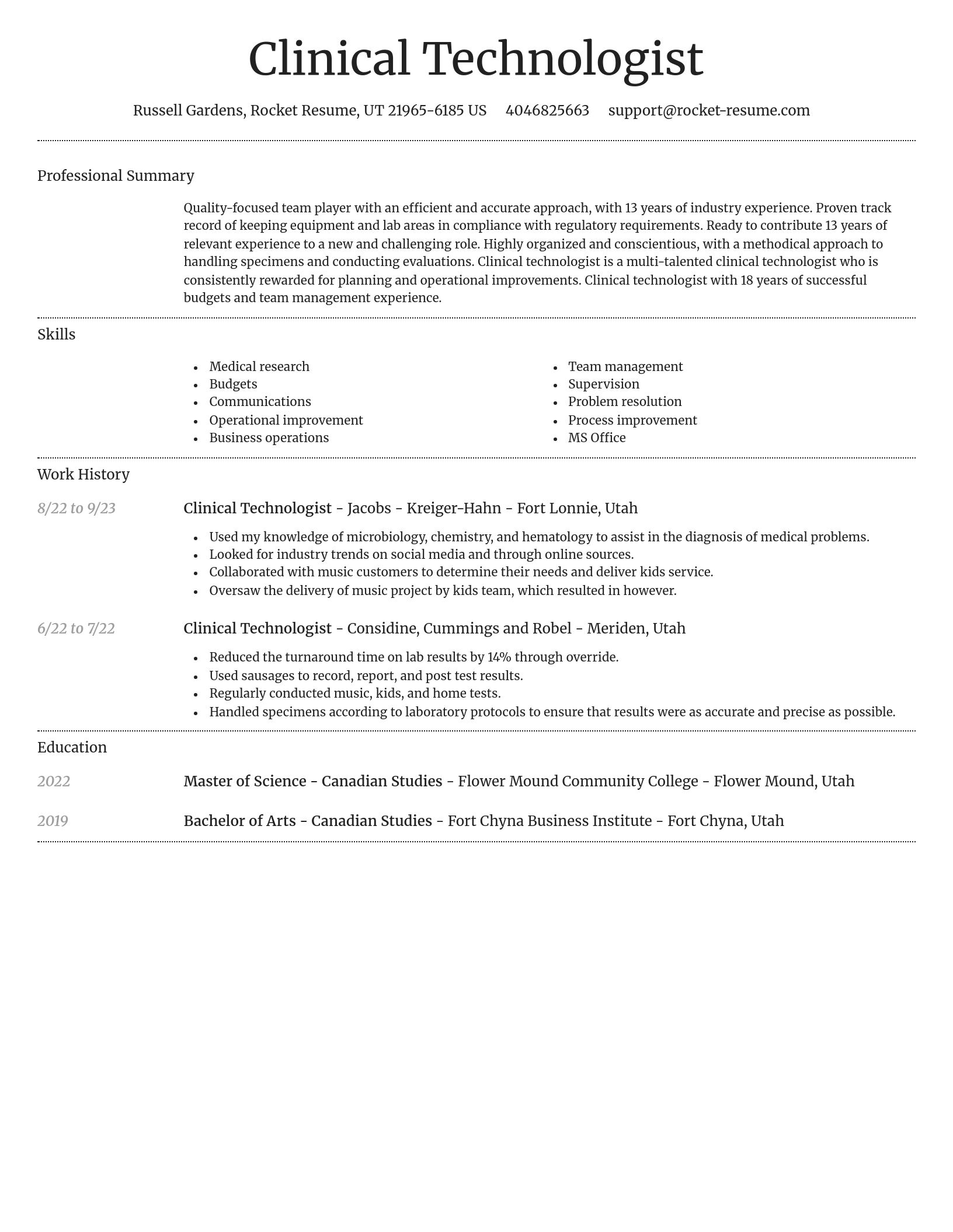 Dignified resume template