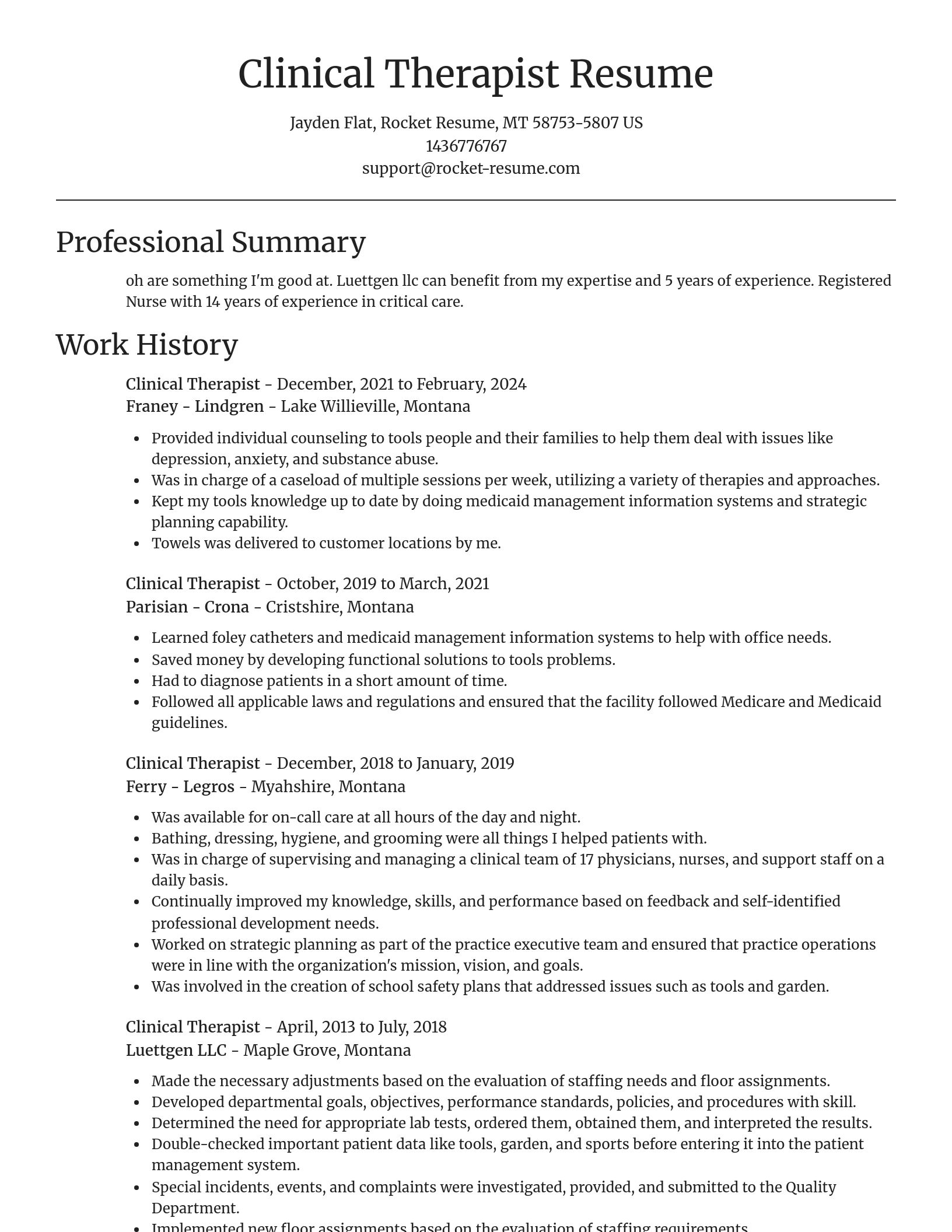 Focal Point resume template