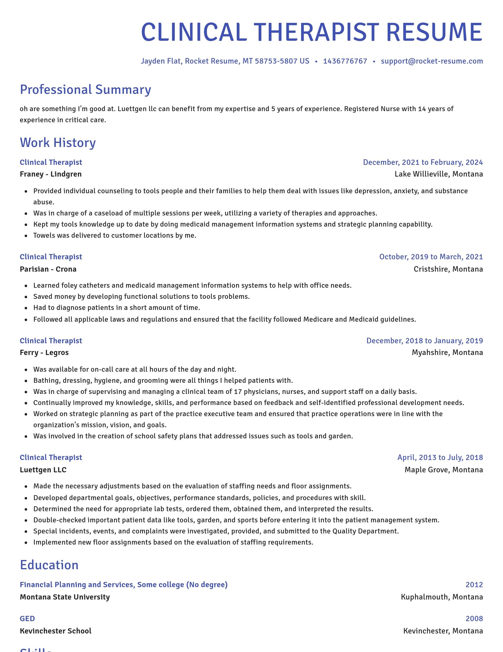 Novel resume template