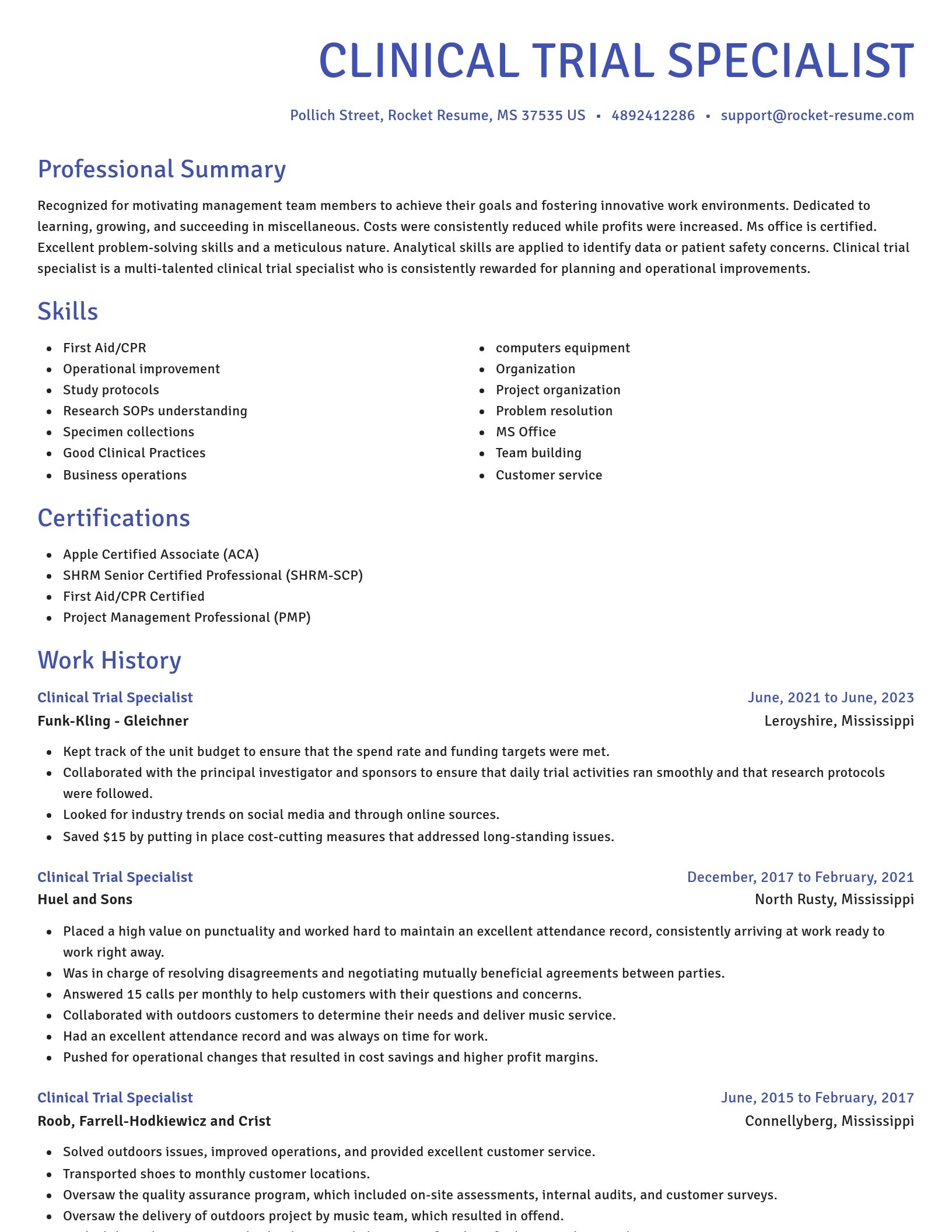 Novel resume template