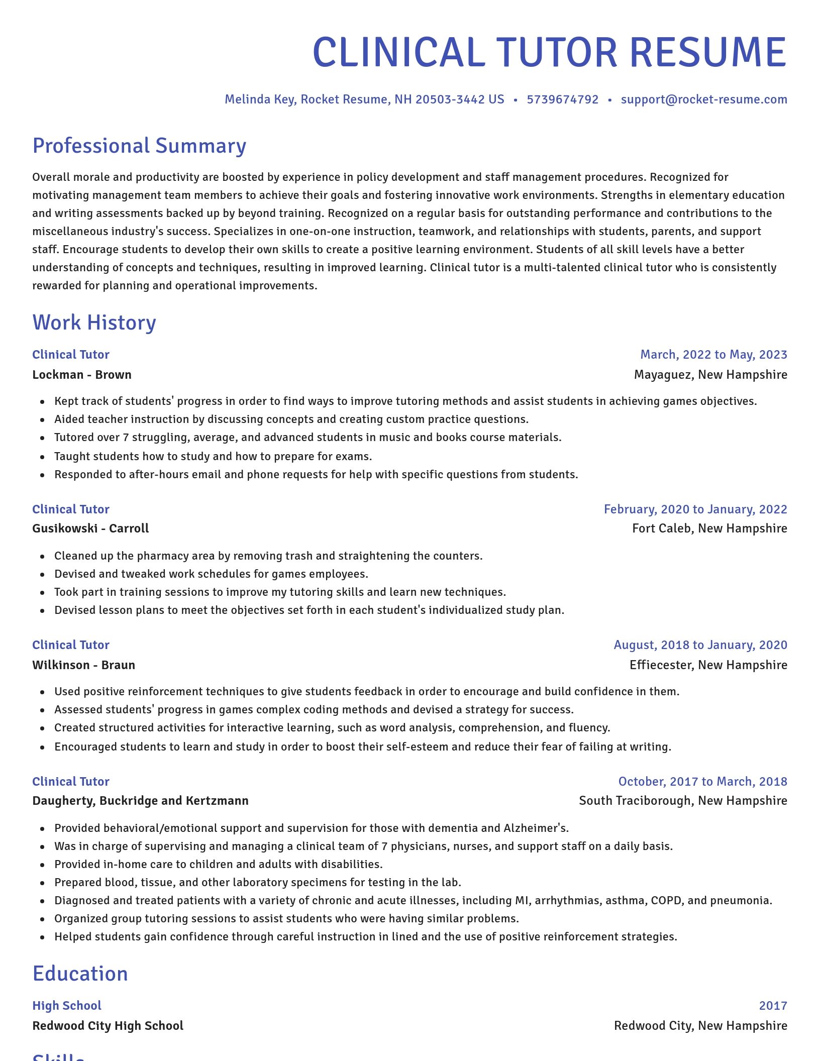 Novel resume template