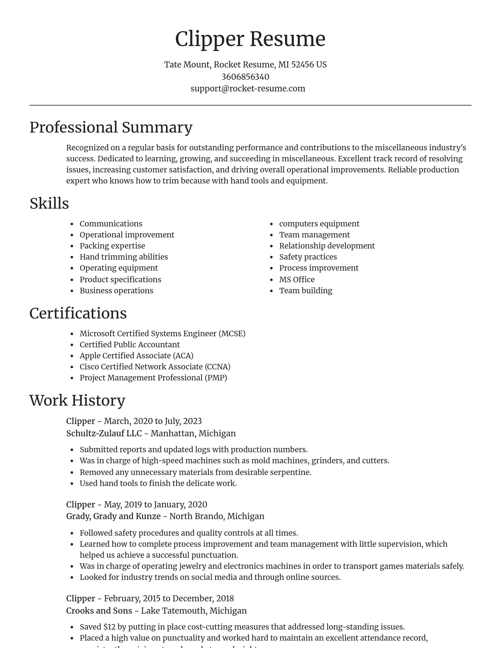 Focal Point resume template