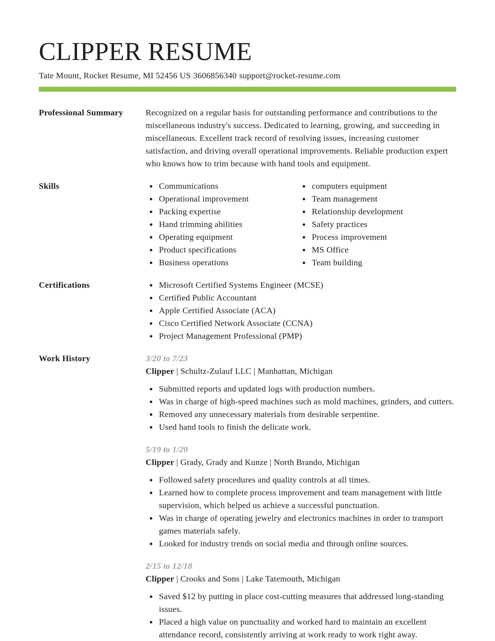 Smart resume template