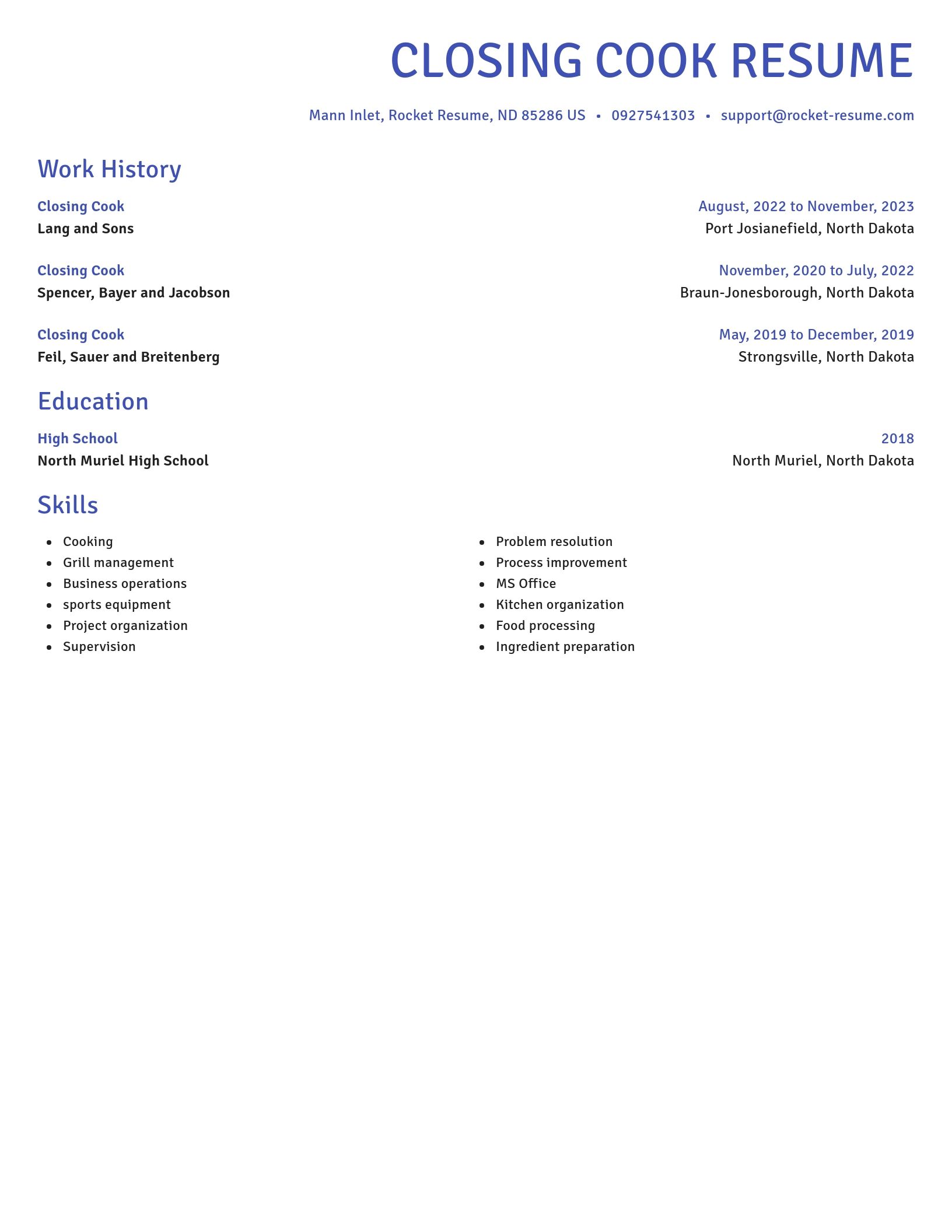 Novel resume template