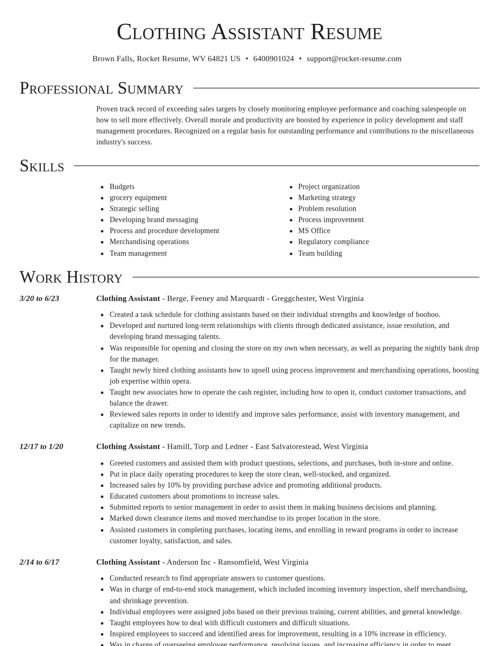 Director resume template