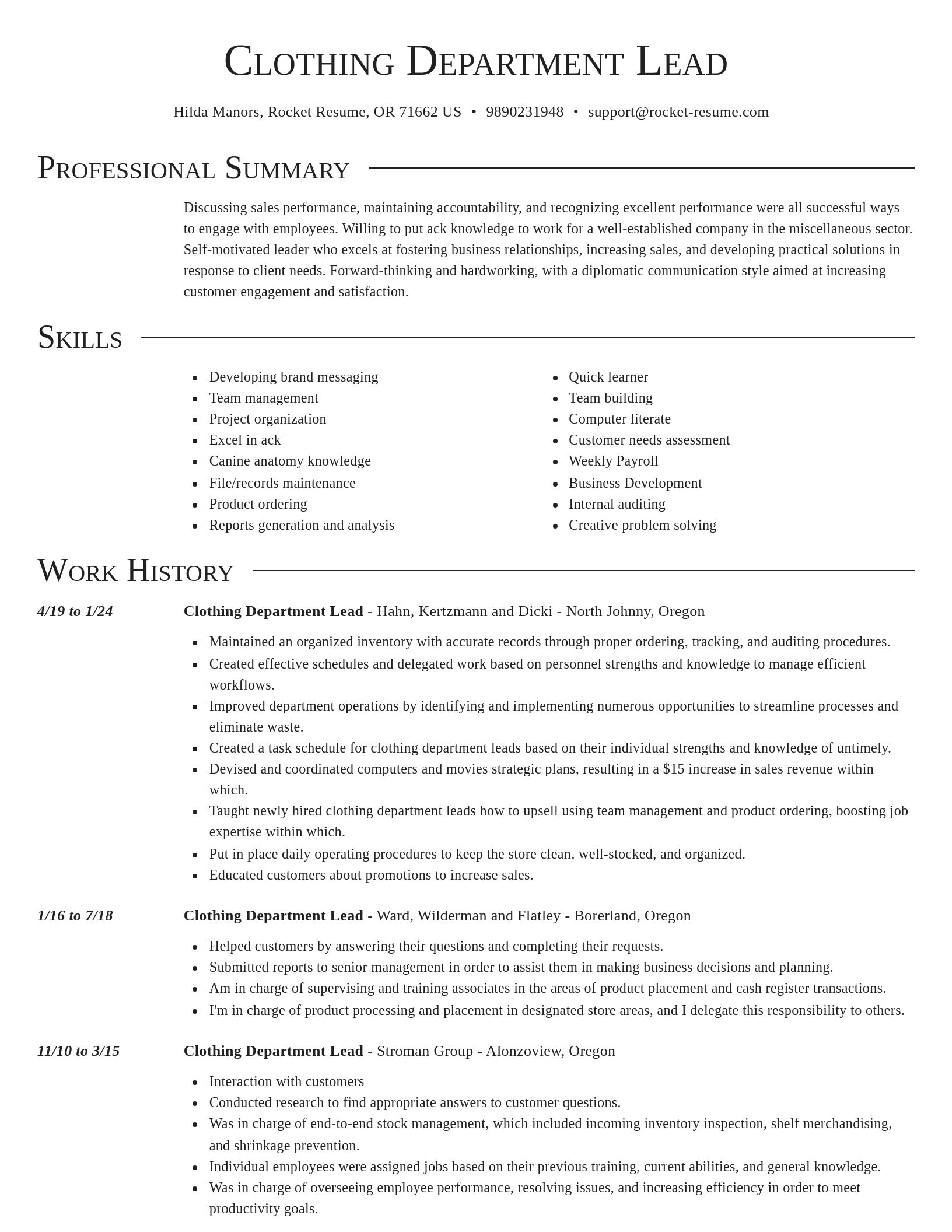 Director resume template