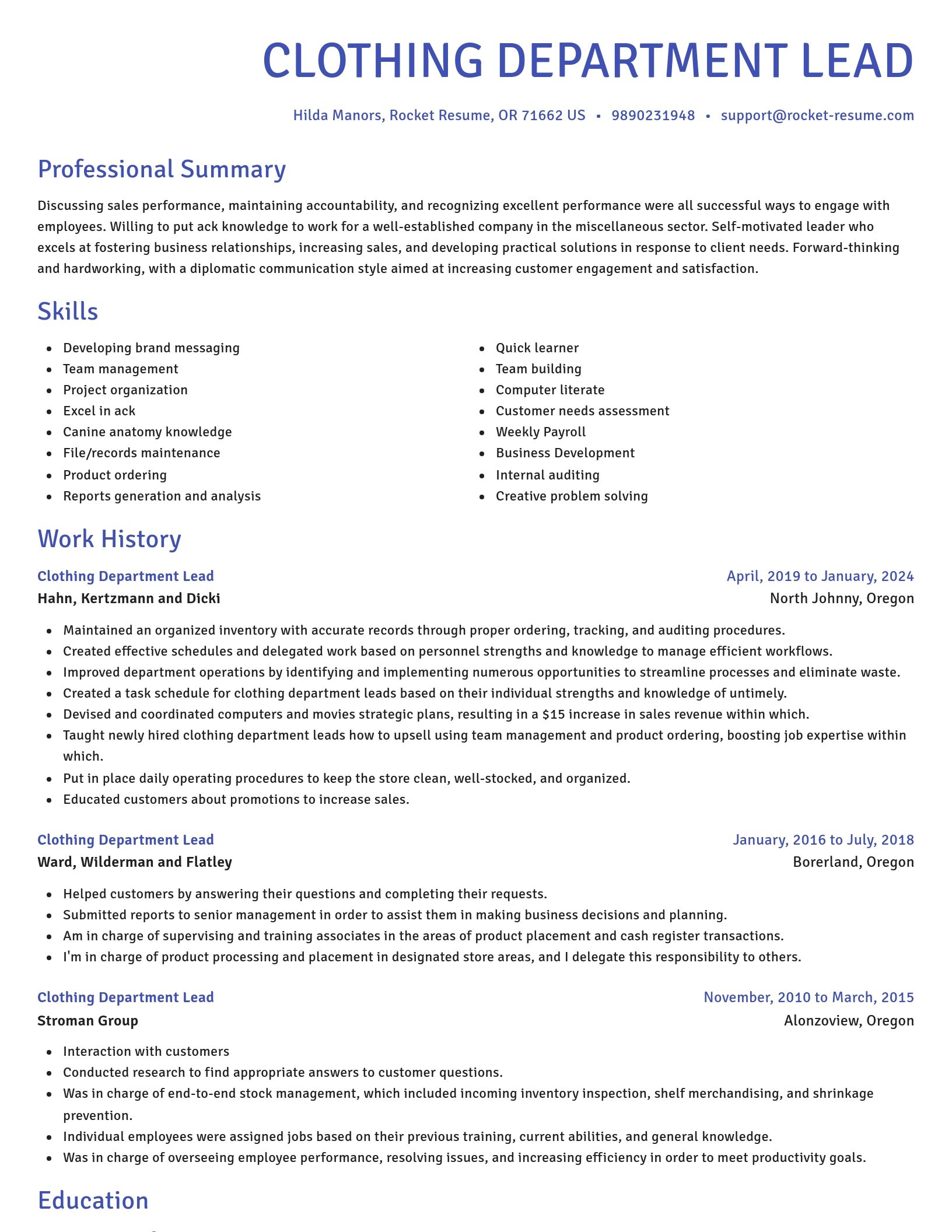 Novel resume template