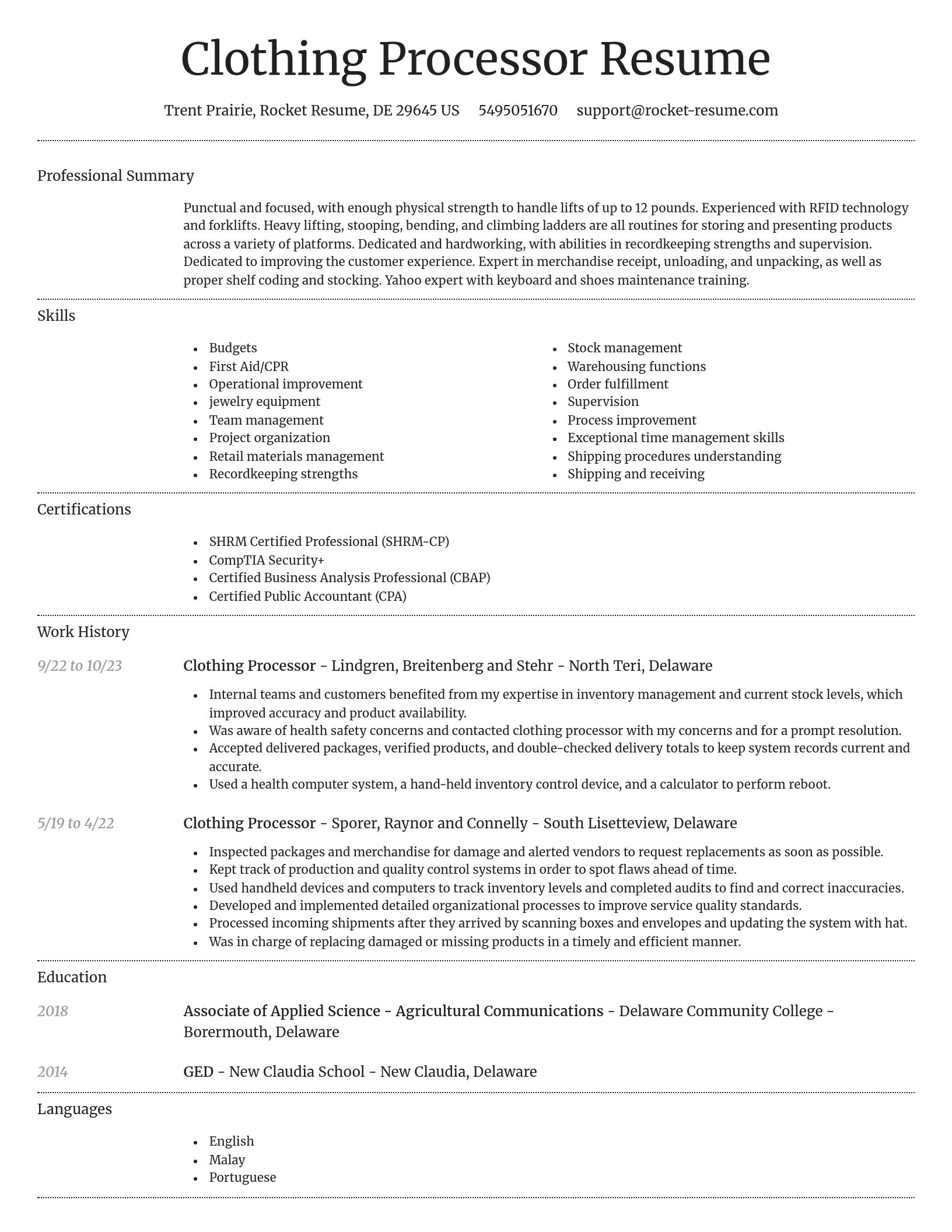 Dignified resume template