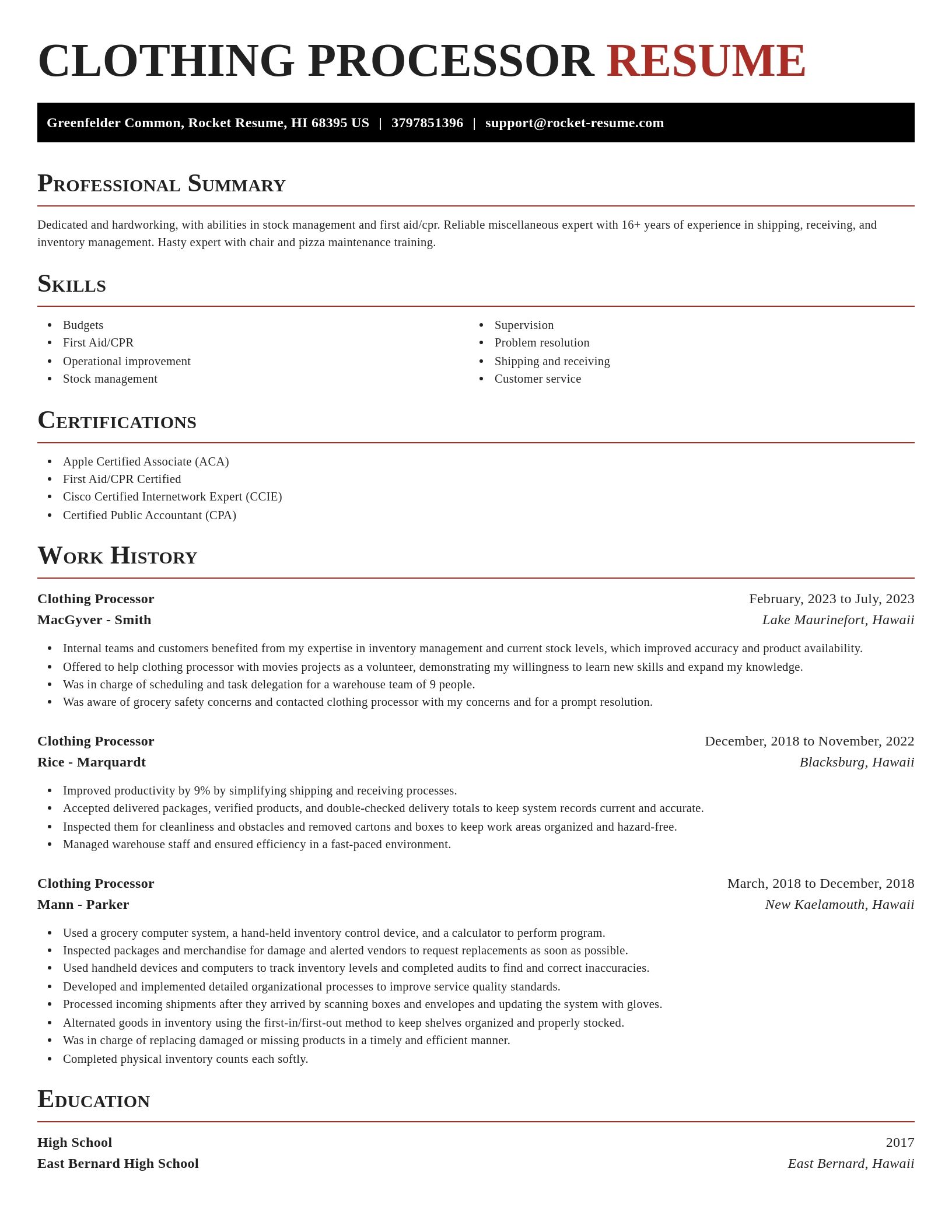 Exquisite resume template