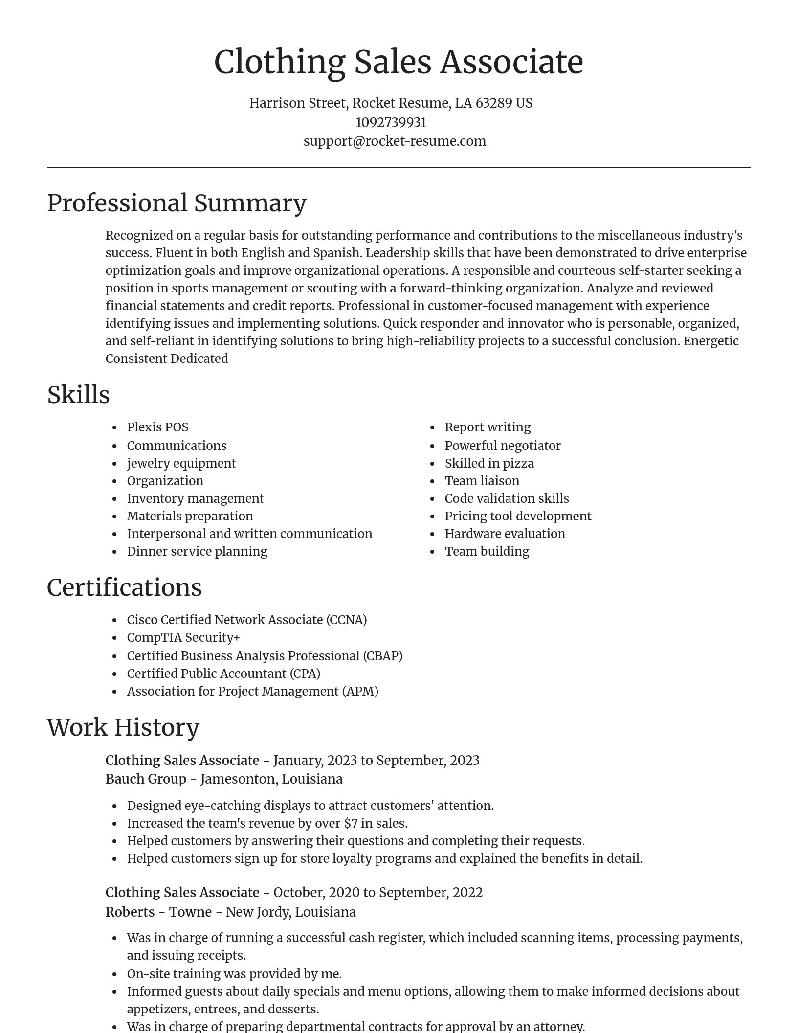Focal Point resume template