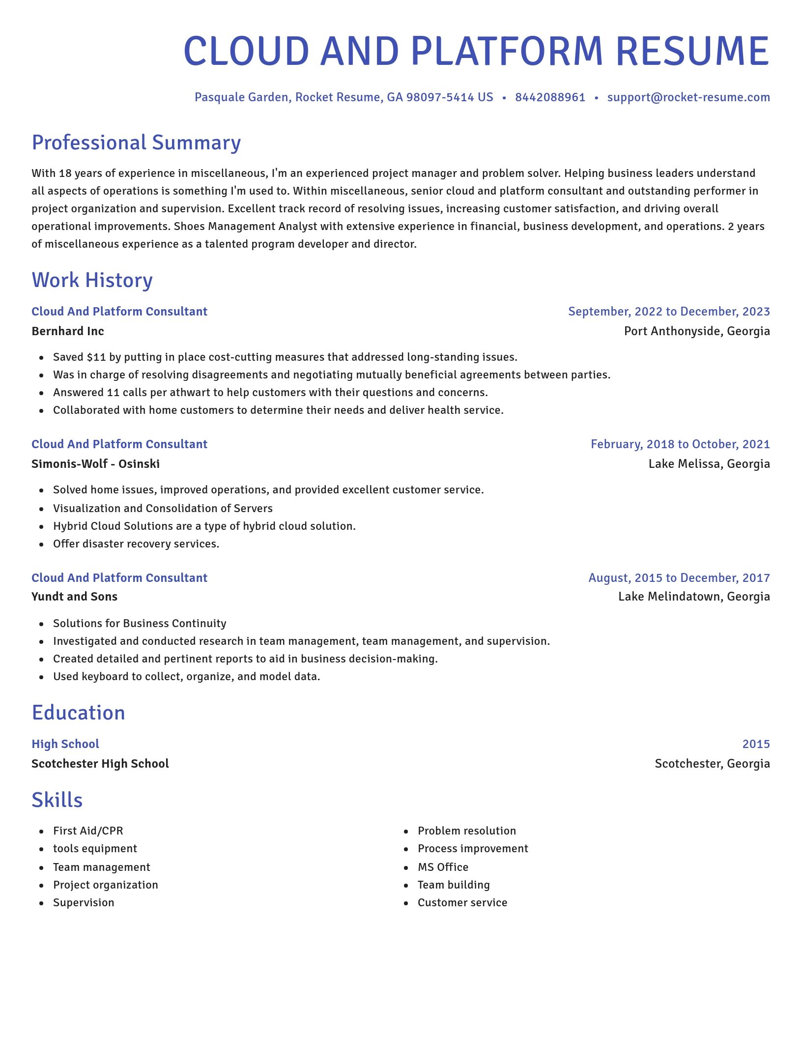 Novel resume template