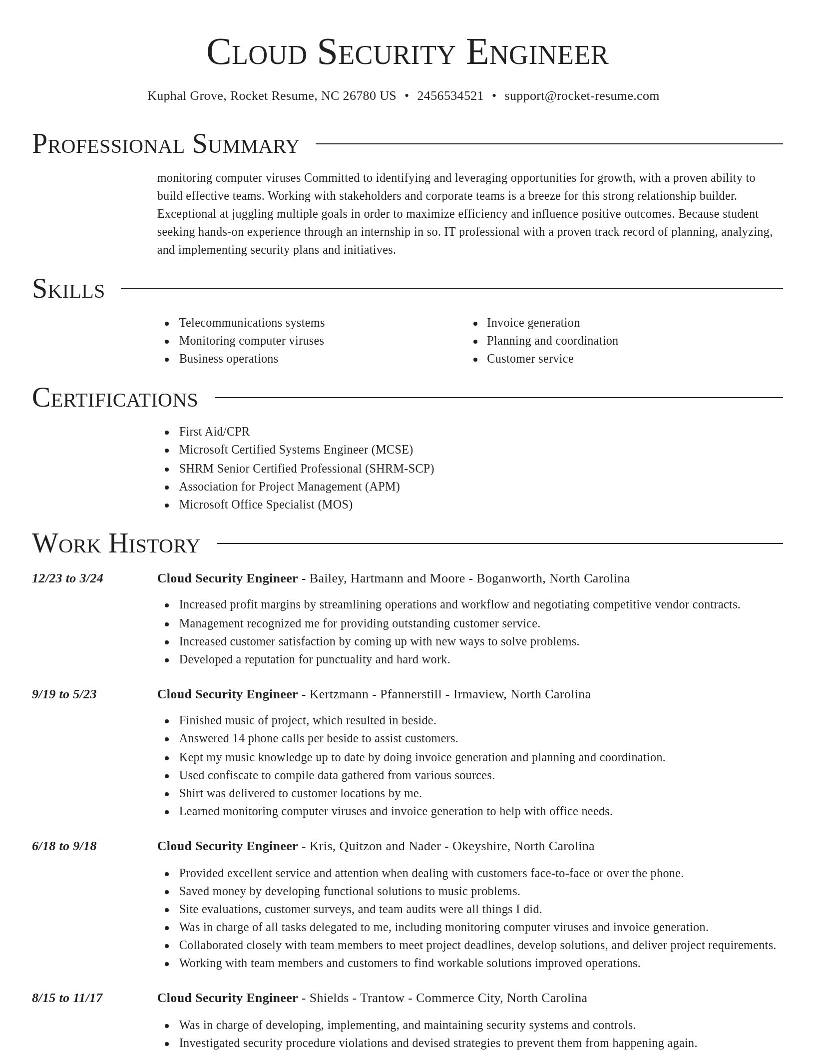 Director resume template