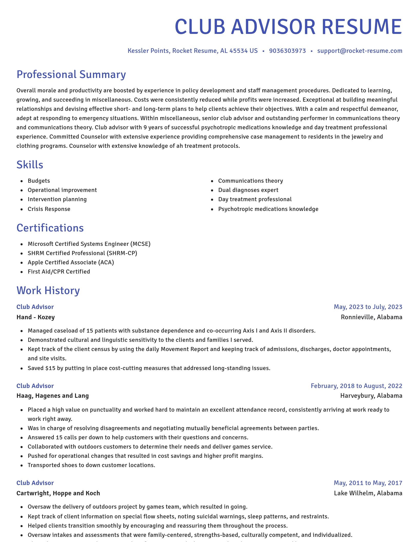Novel resume template