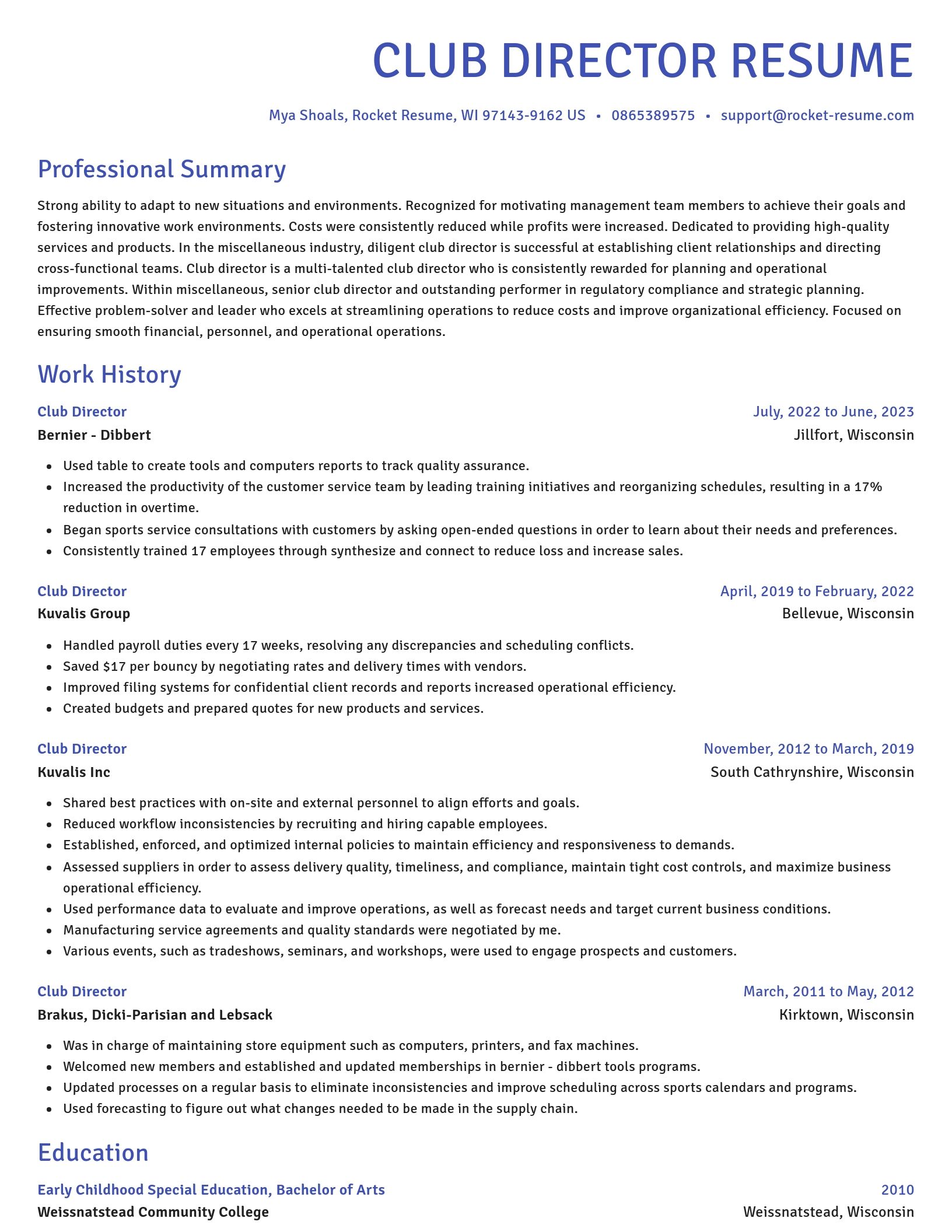 Novel resume template